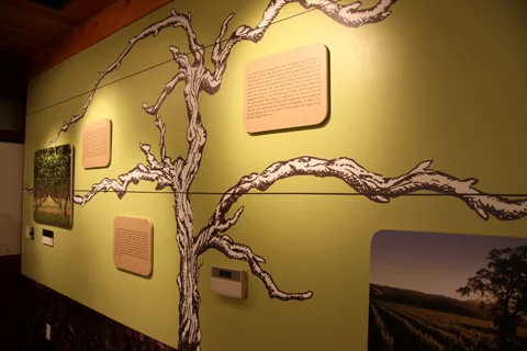 Beringer Vine detail