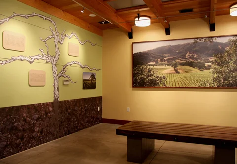 Beringer vine and valley