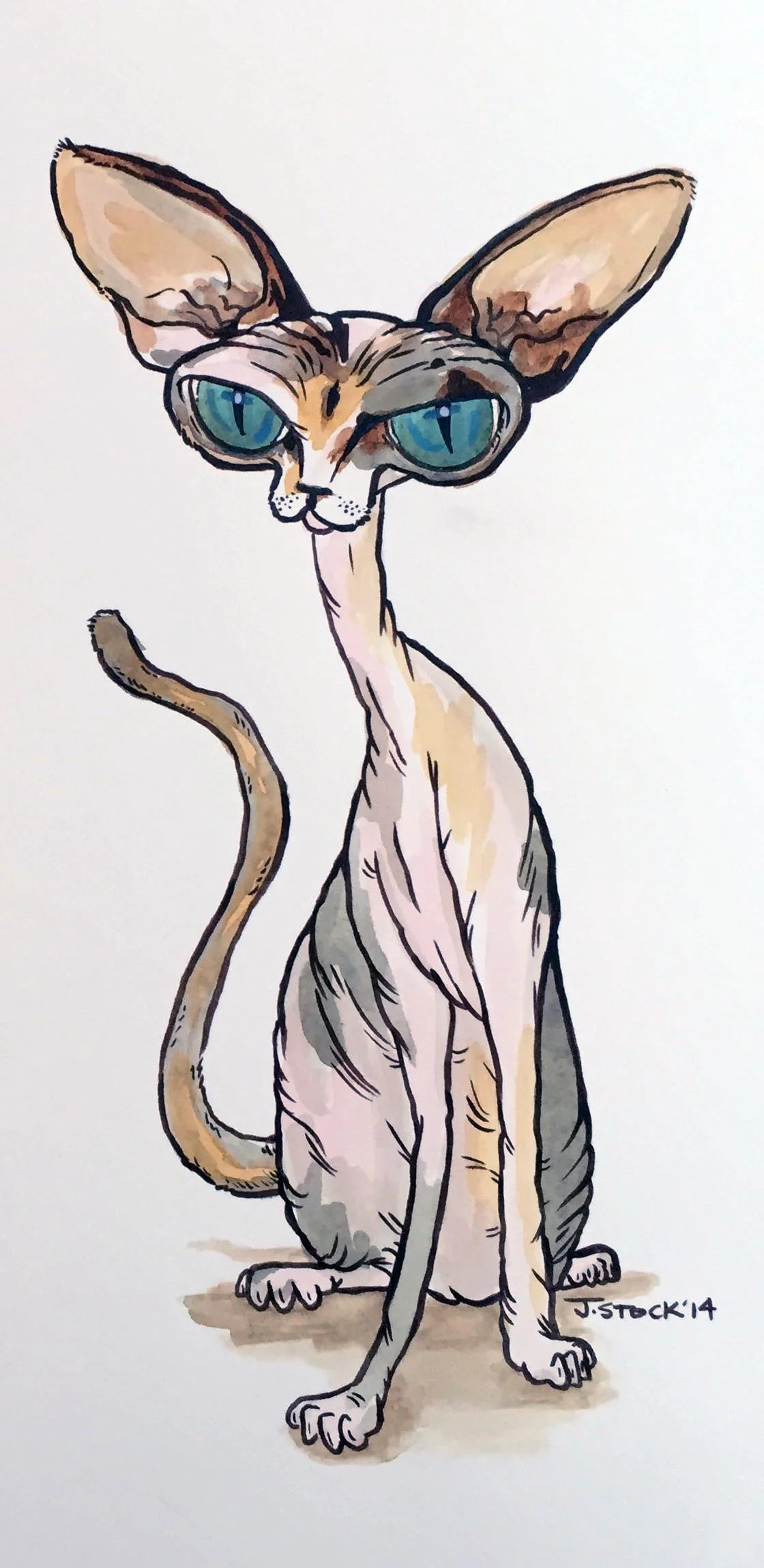 Naked Cat.jpg