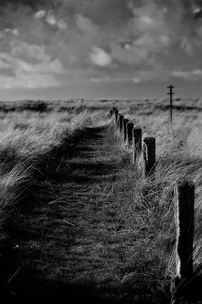 _MG_8559.jpg