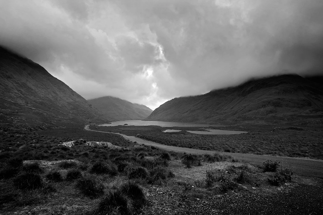 _MG_1800_bw.jpg