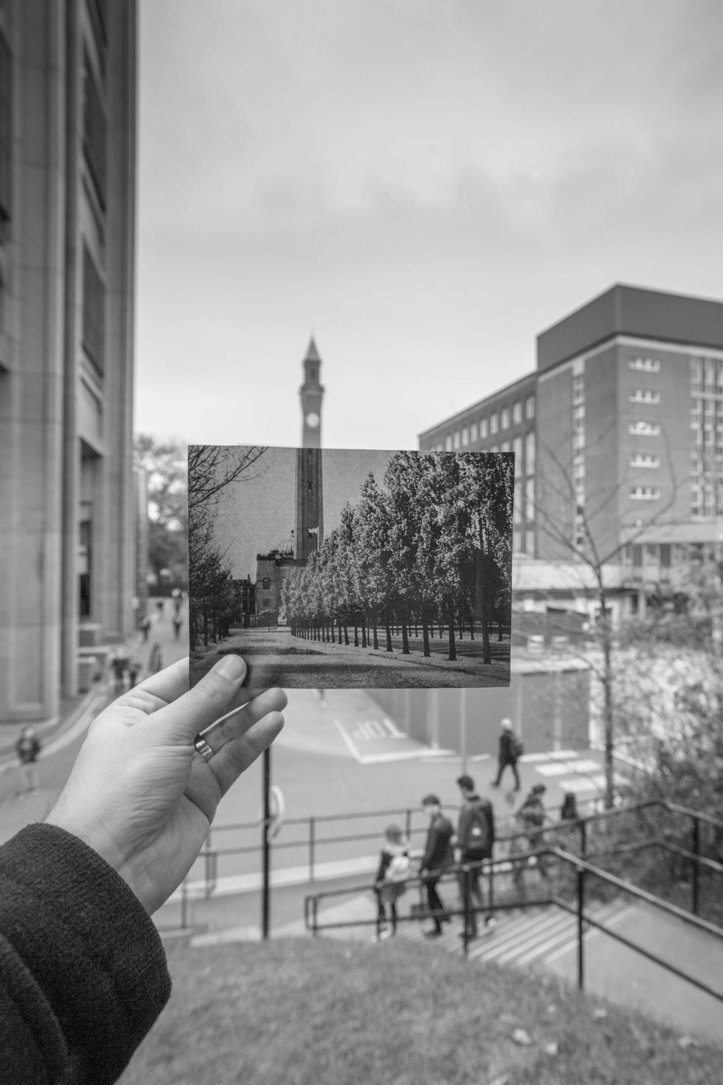 T08A5553-2.jpg