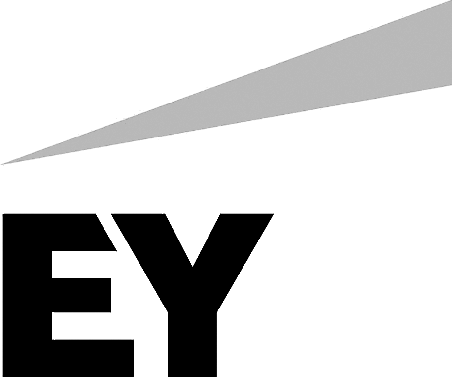 EY logo 2013.png