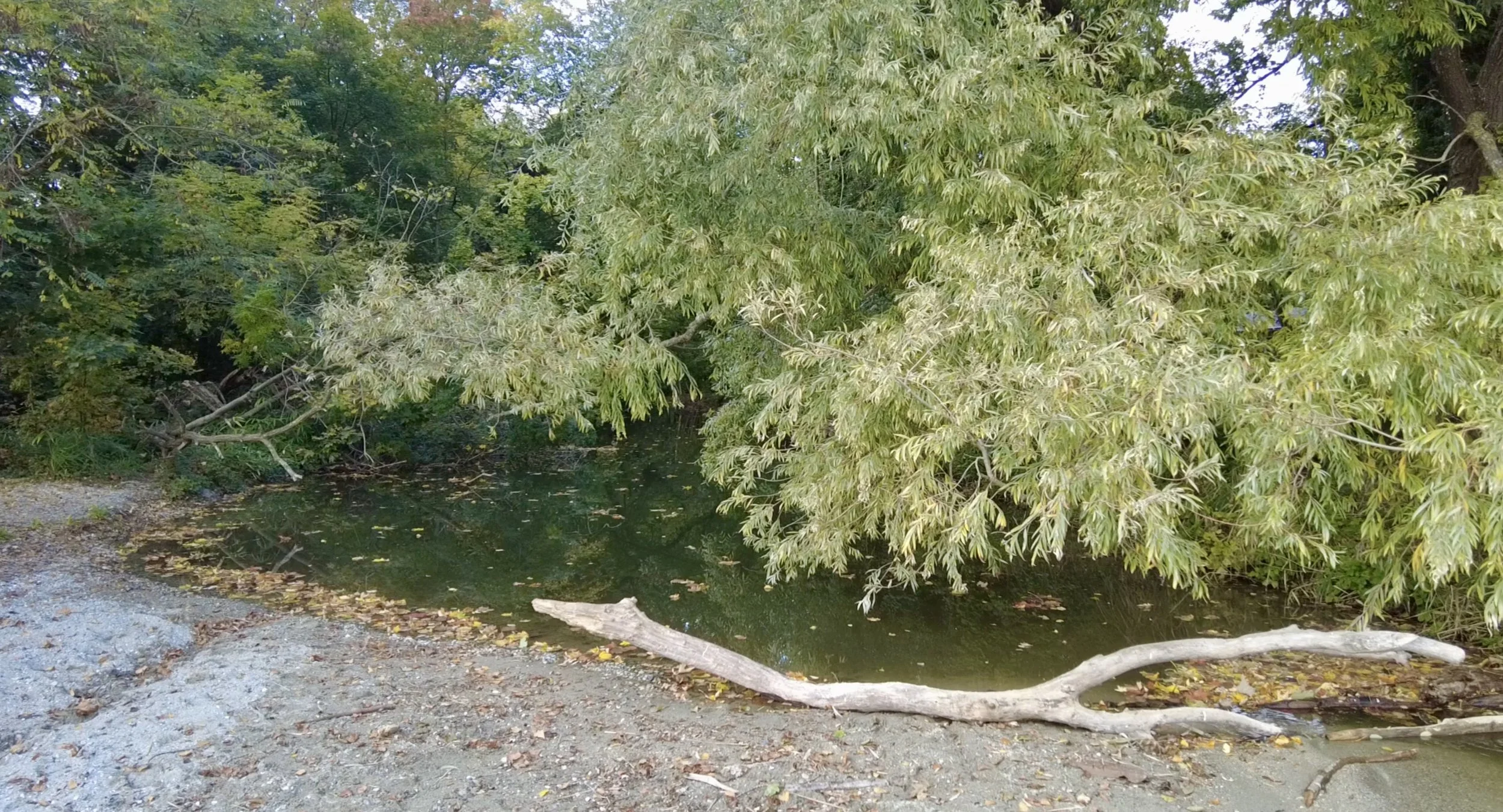 Capture d’écran 2025-10-16 à 9.31.10 PM.jpeg