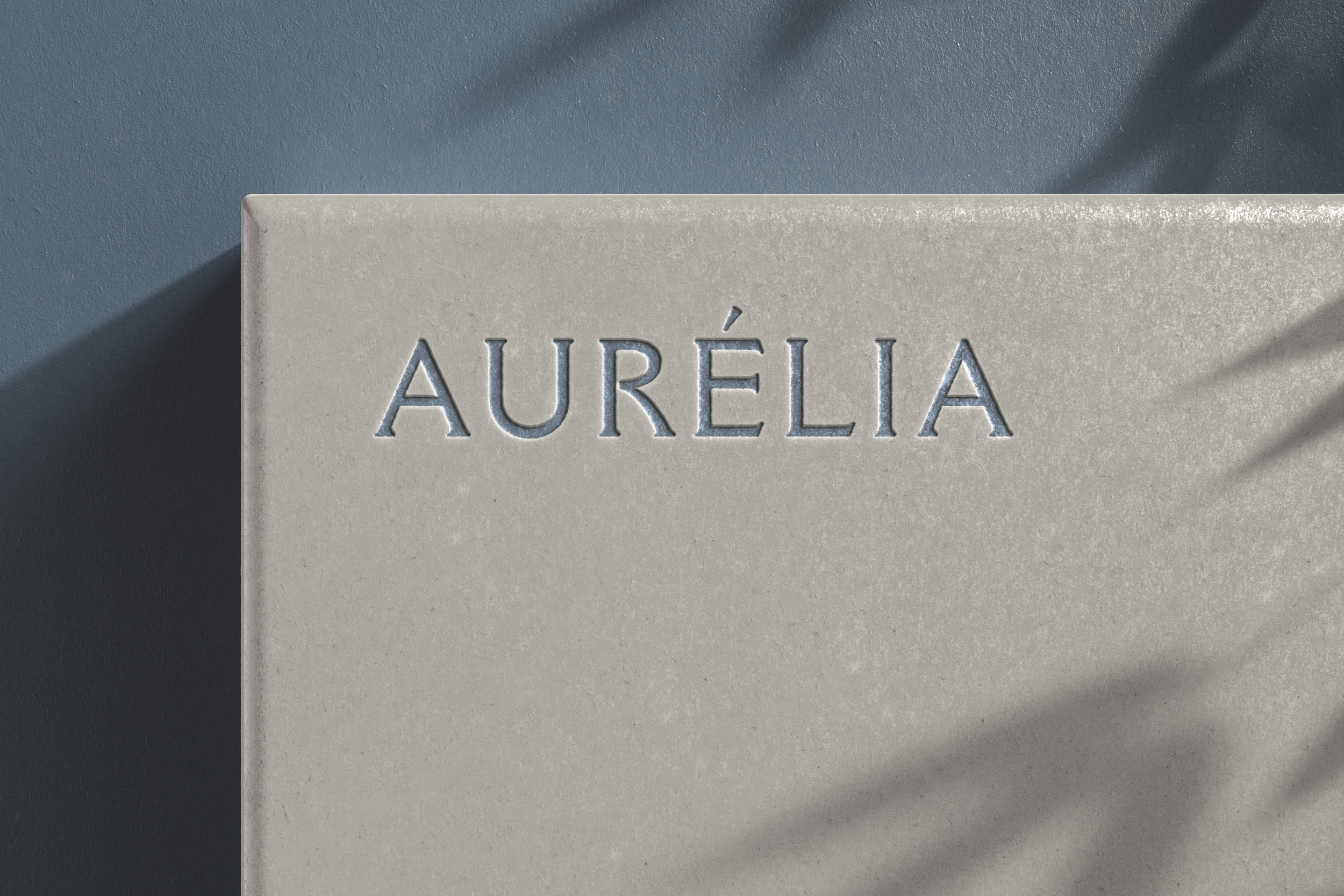 Aurelia large jewerly box mock up 3.png