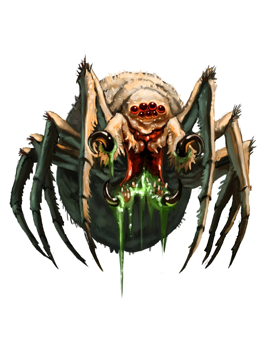 PlainsSpider.jpg