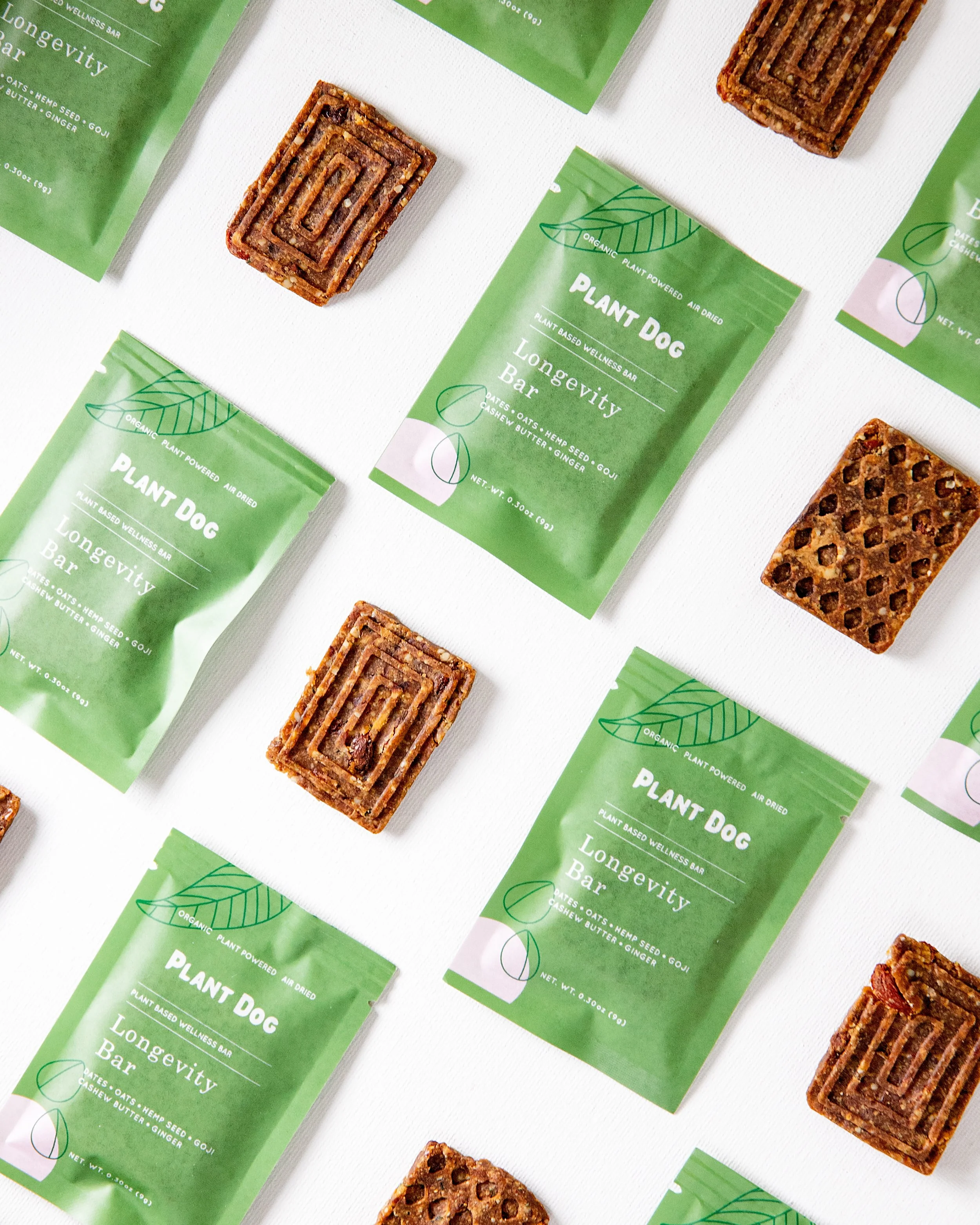 Plant Dog LLC_March 2023_MLC Photography-20.jpg