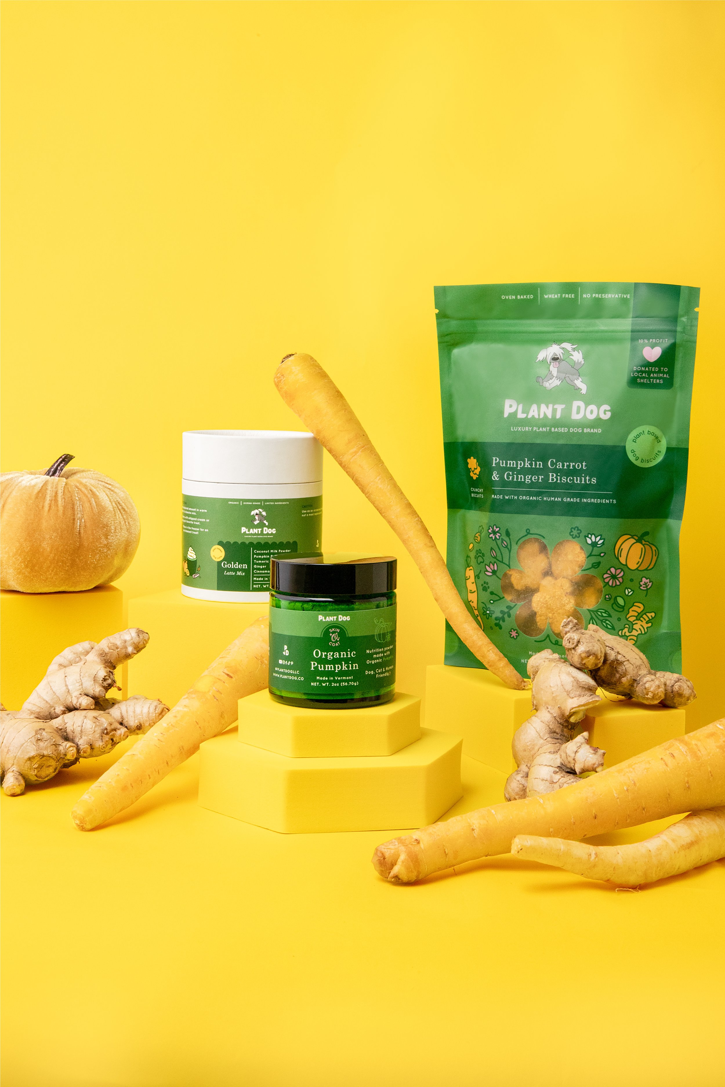 Plant Dog LLC_0324_MLCPHOTO240226.jpg