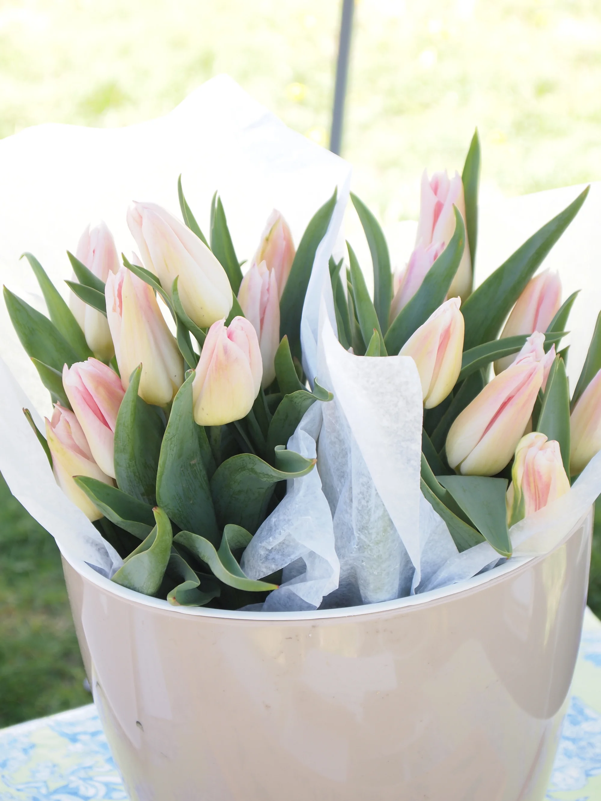 Holland Chic tulips in bucket 2012 1.JPG