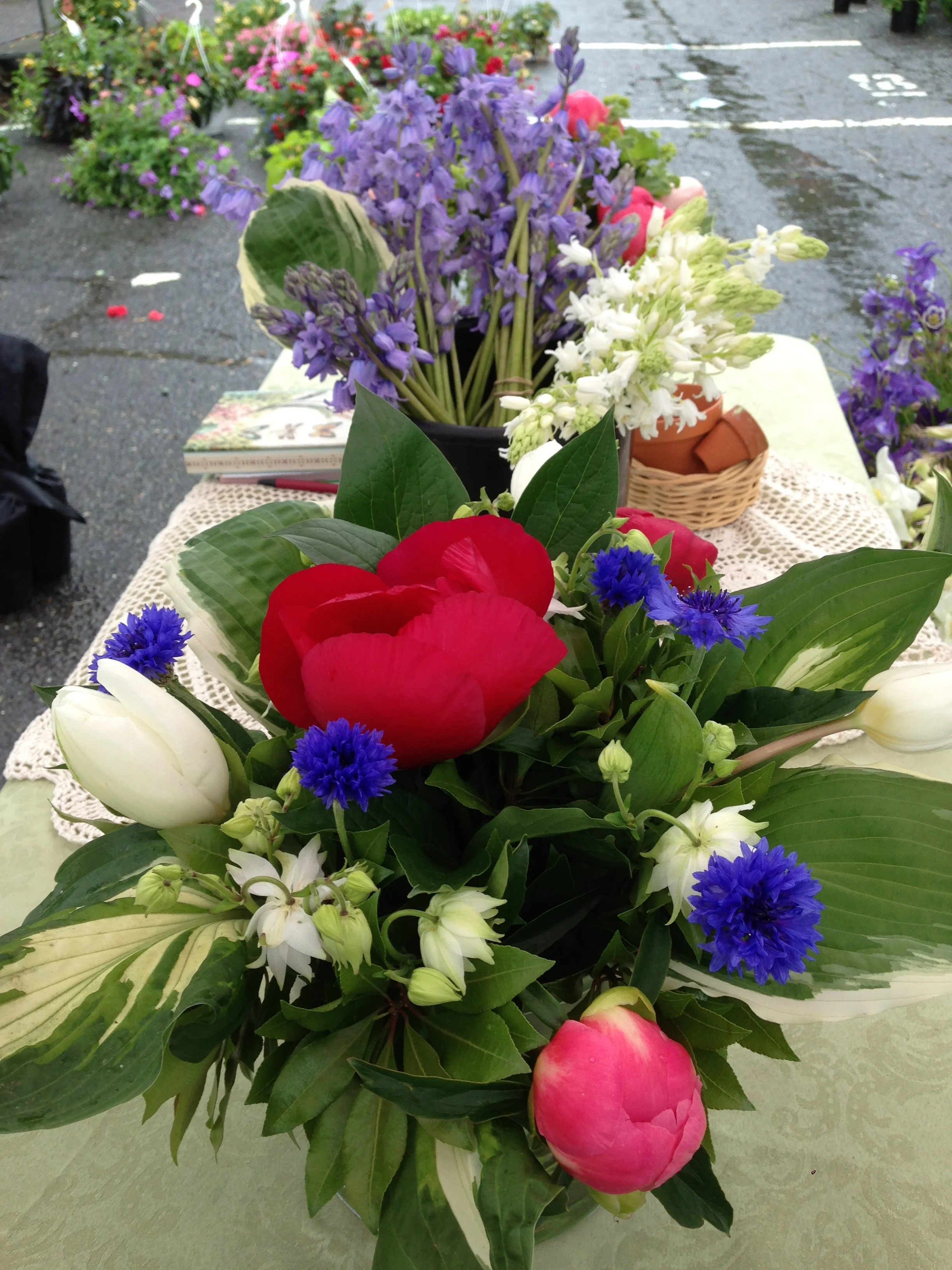 NC FM peony 5.25.13 5.jpg