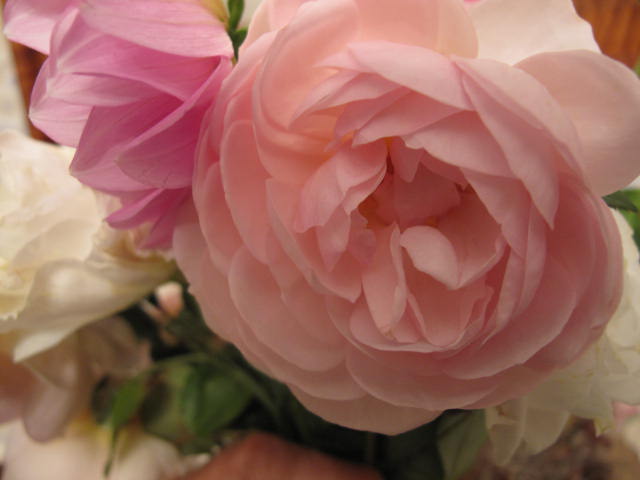 Roses with a few dahlias snuggled in.