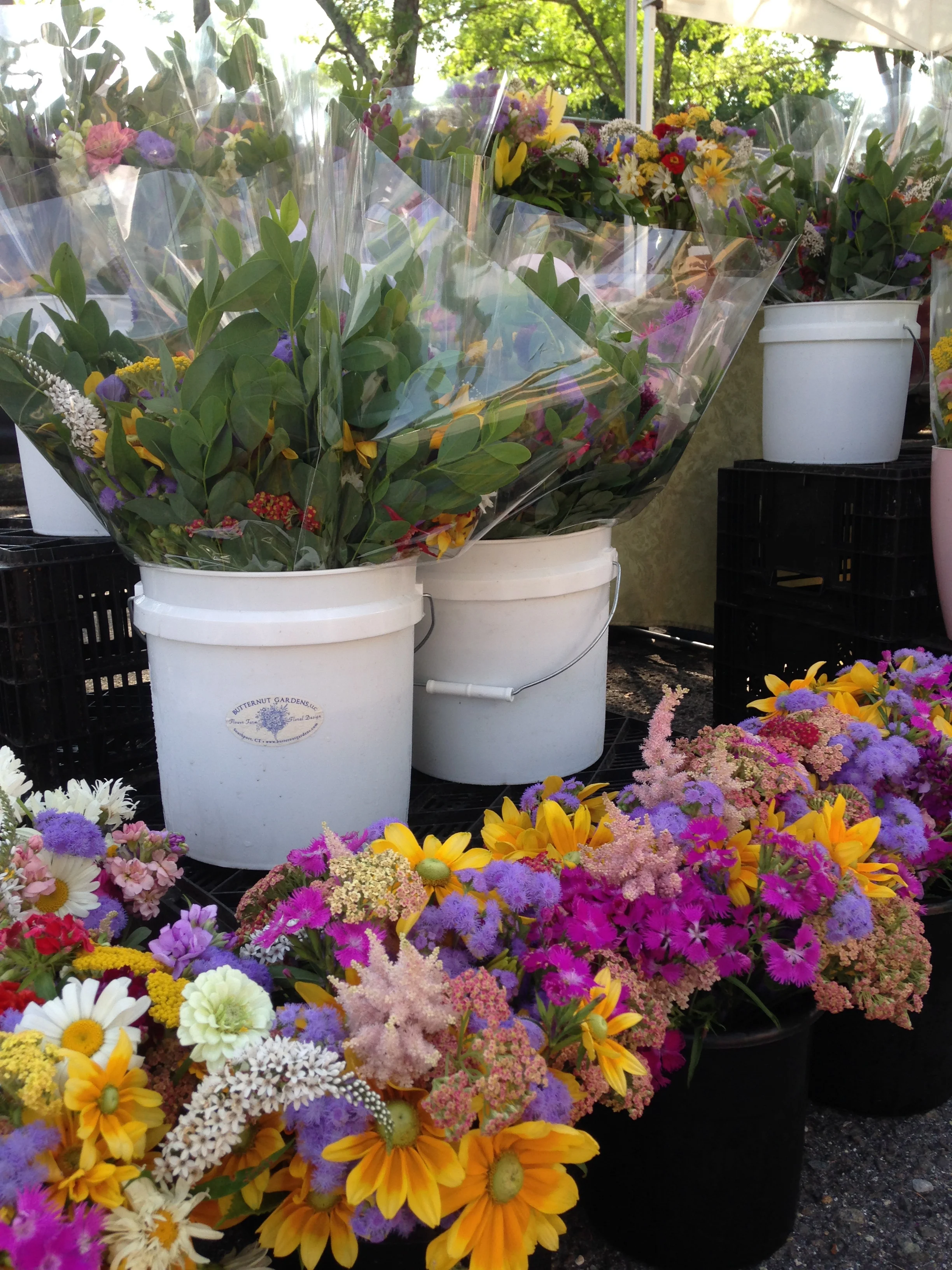 Lovely summer colors at the Farmers' Market.