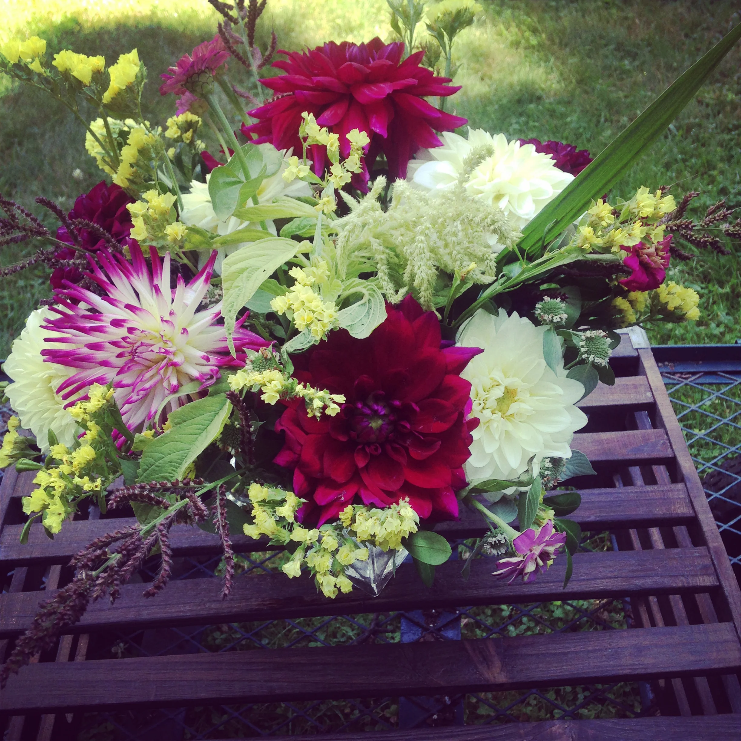 My second Instagram post. Such a great dahlia display! Just love it!