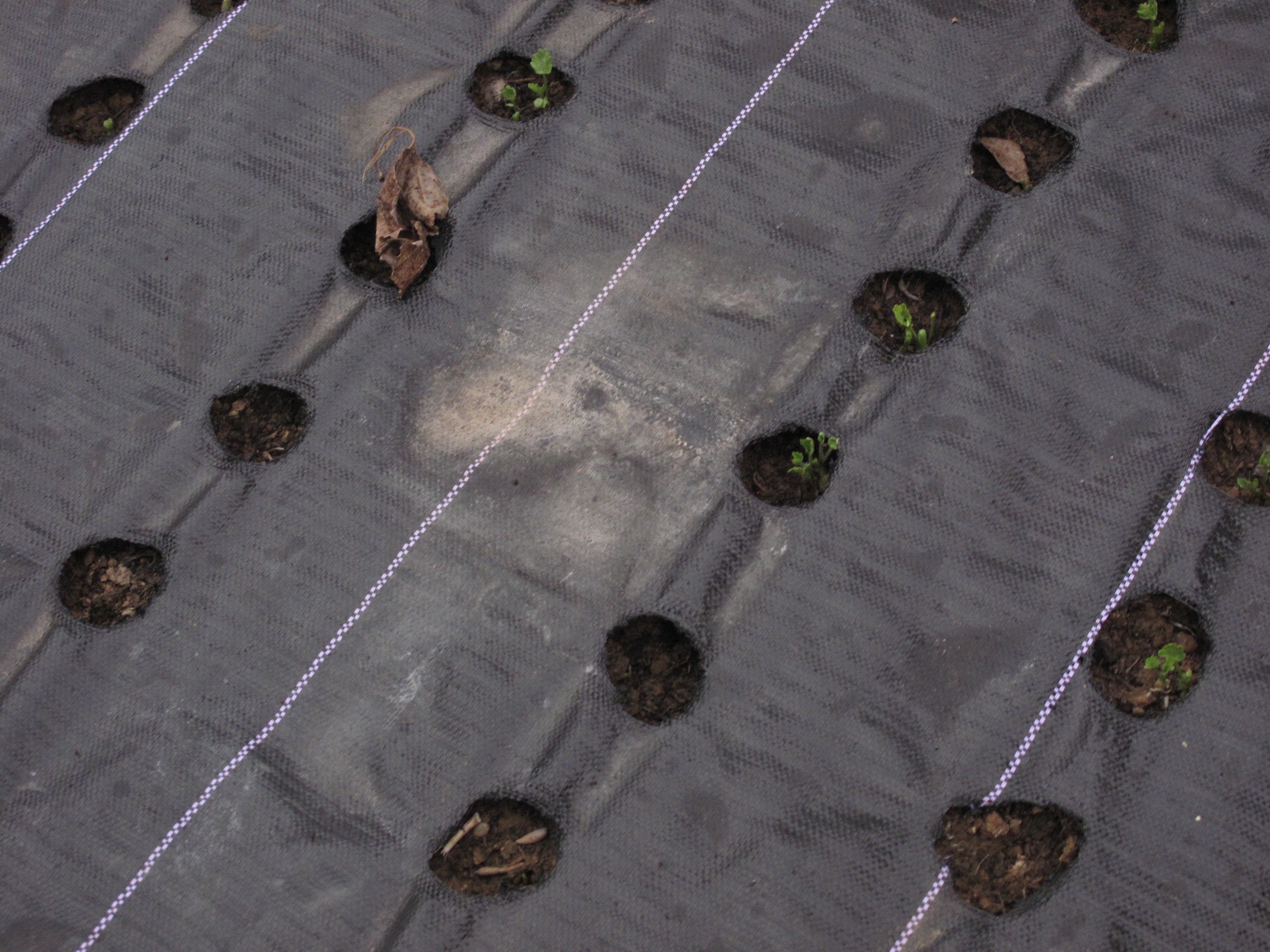 Woven landscape fabric allows for water and air passage.