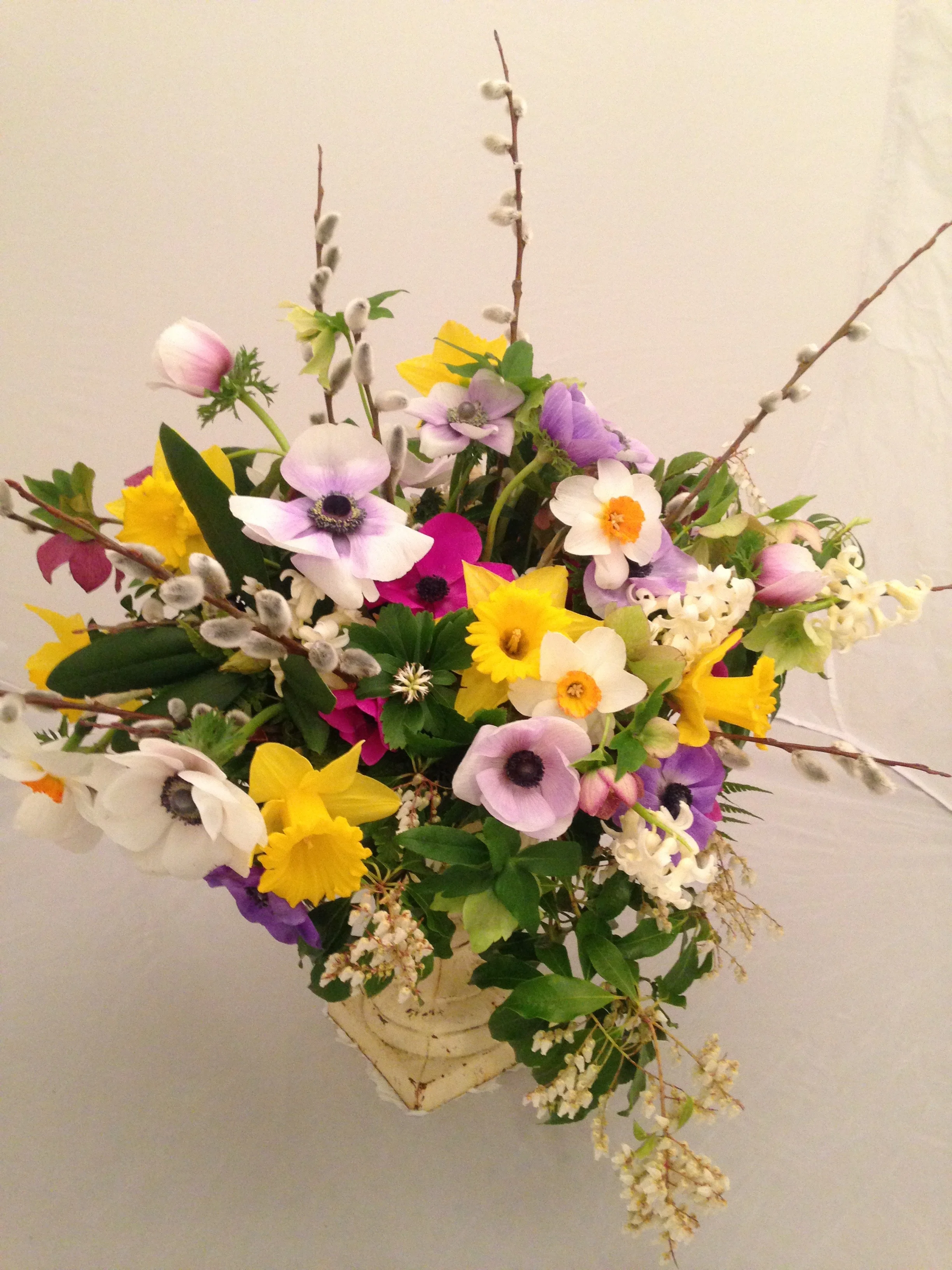 anemone and more.jpg
