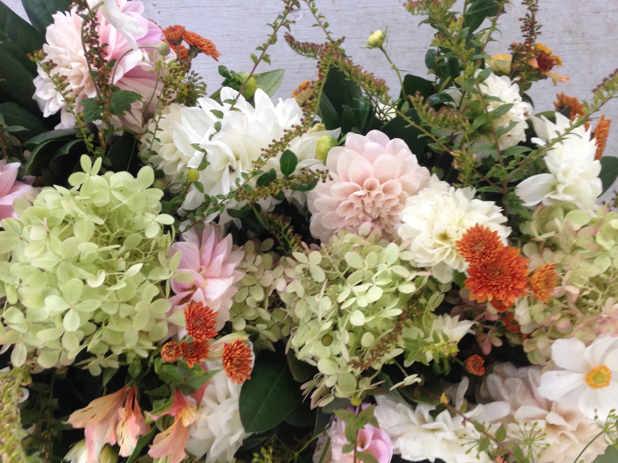 hydrangea mix.jpg