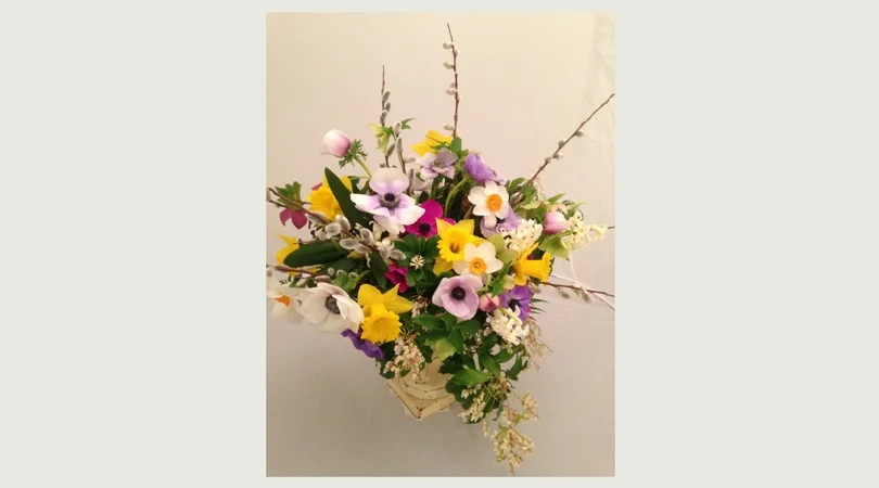 Anemone in urn.jpg