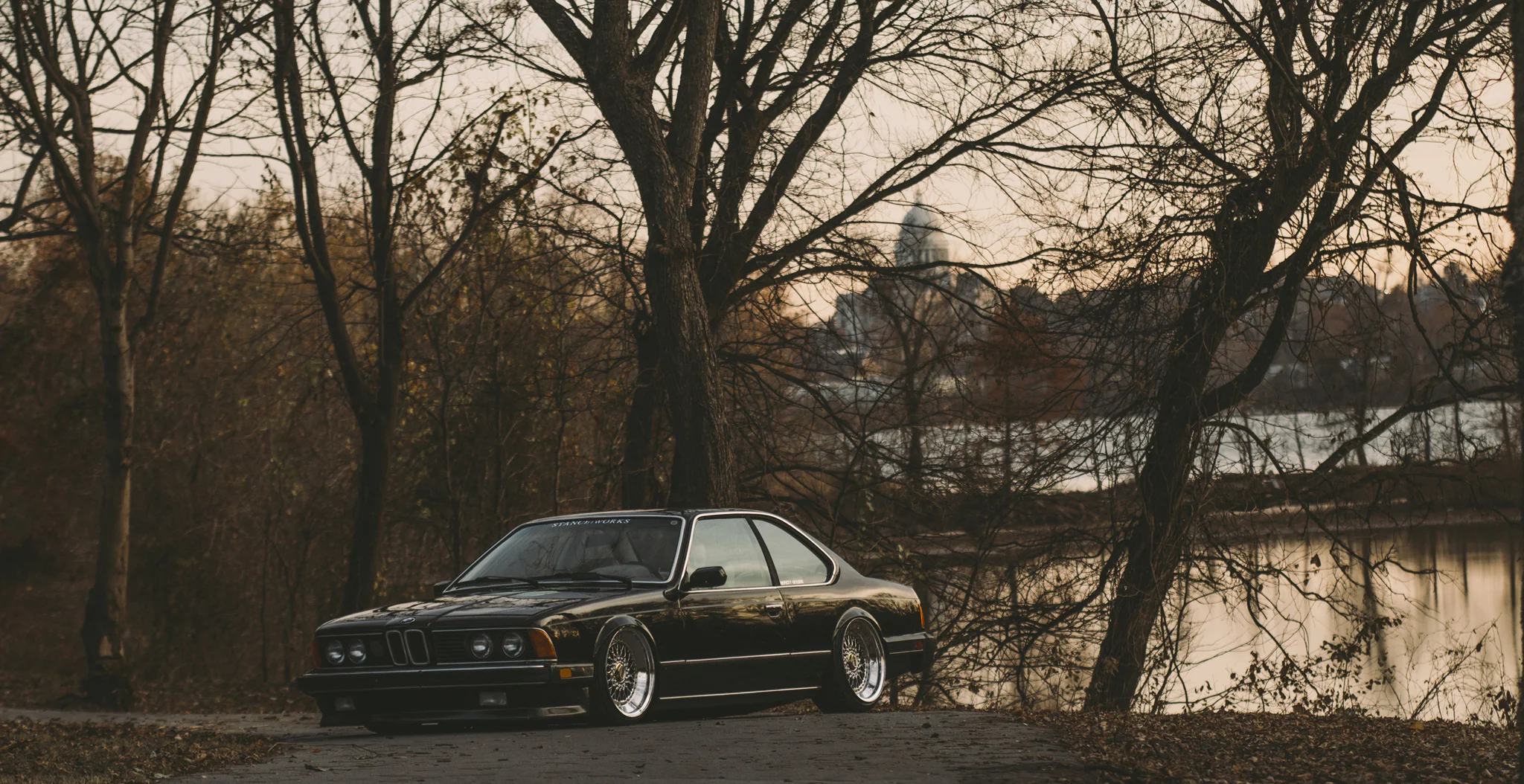 shark001.jpg