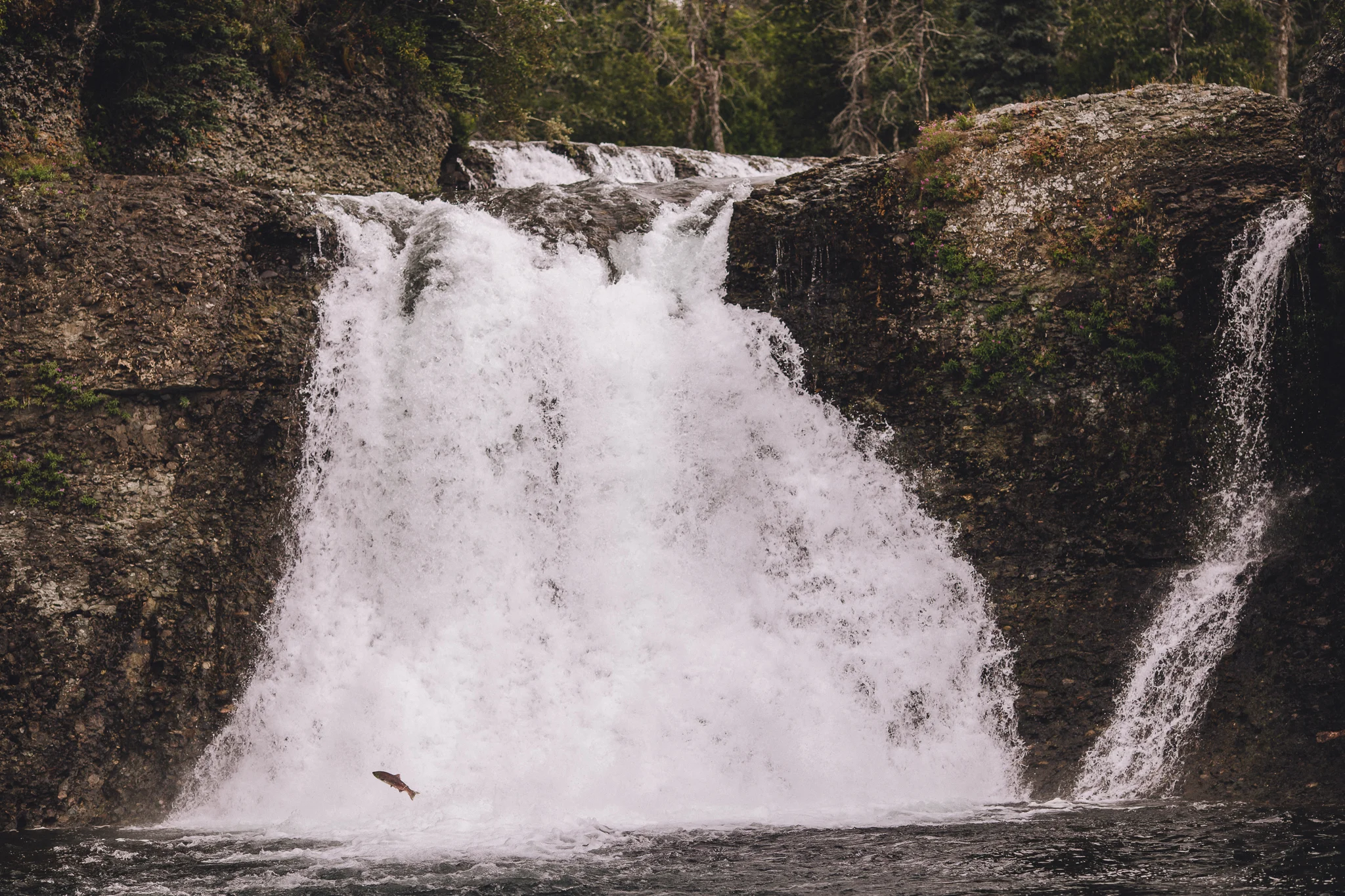 AlaskaTrip-6343.jpg
