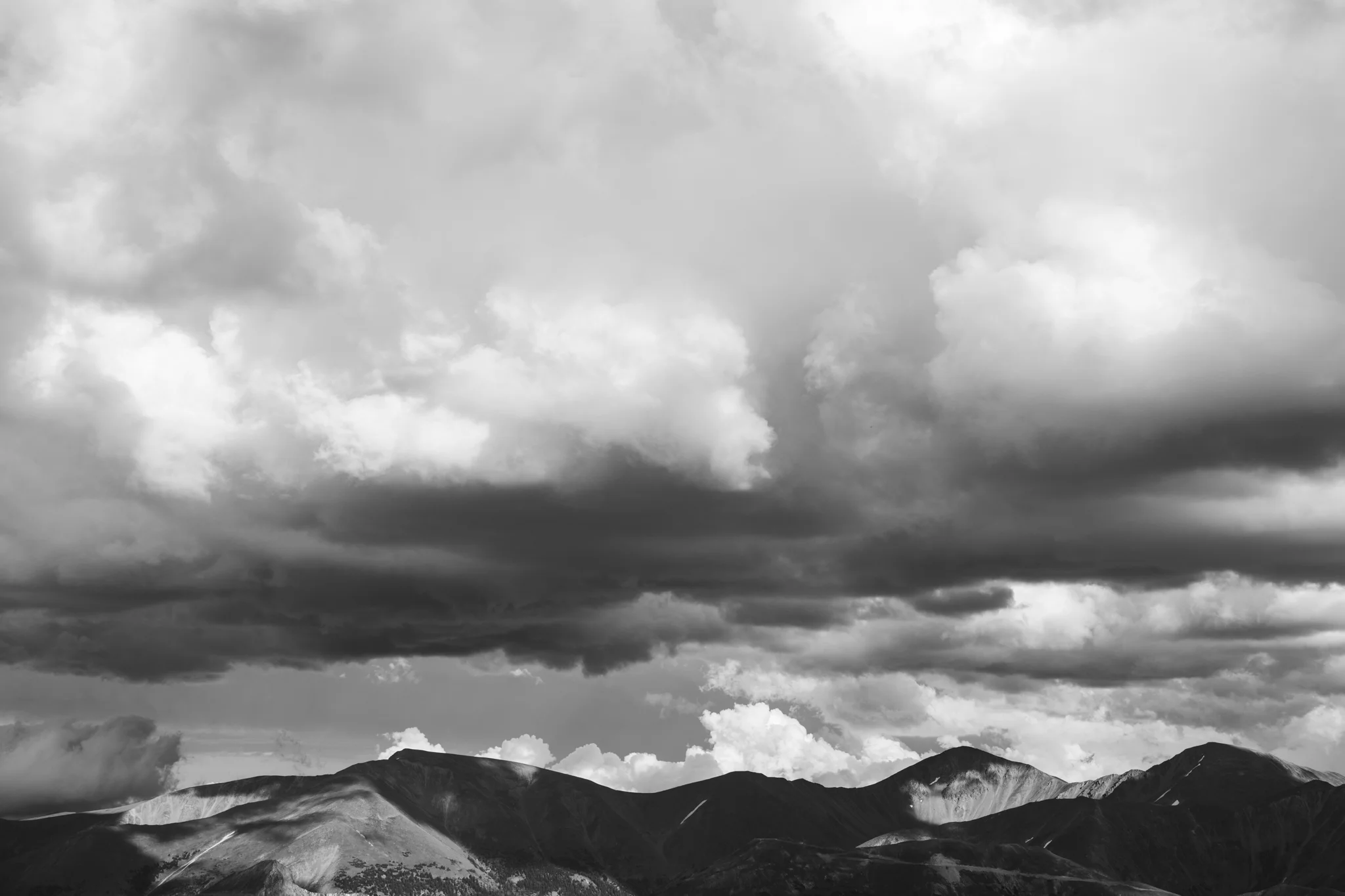 IMG_2406.jpg