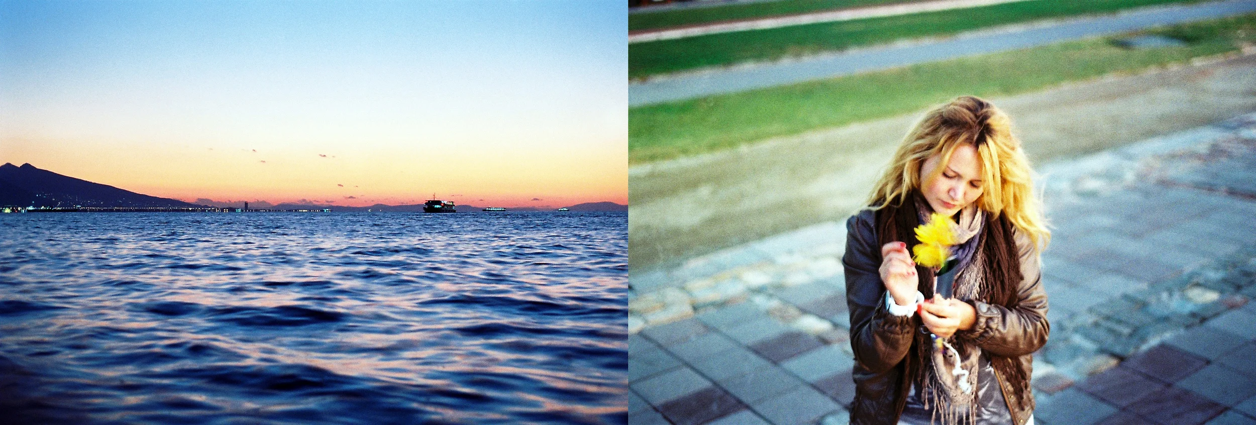 eda diptych.jpg