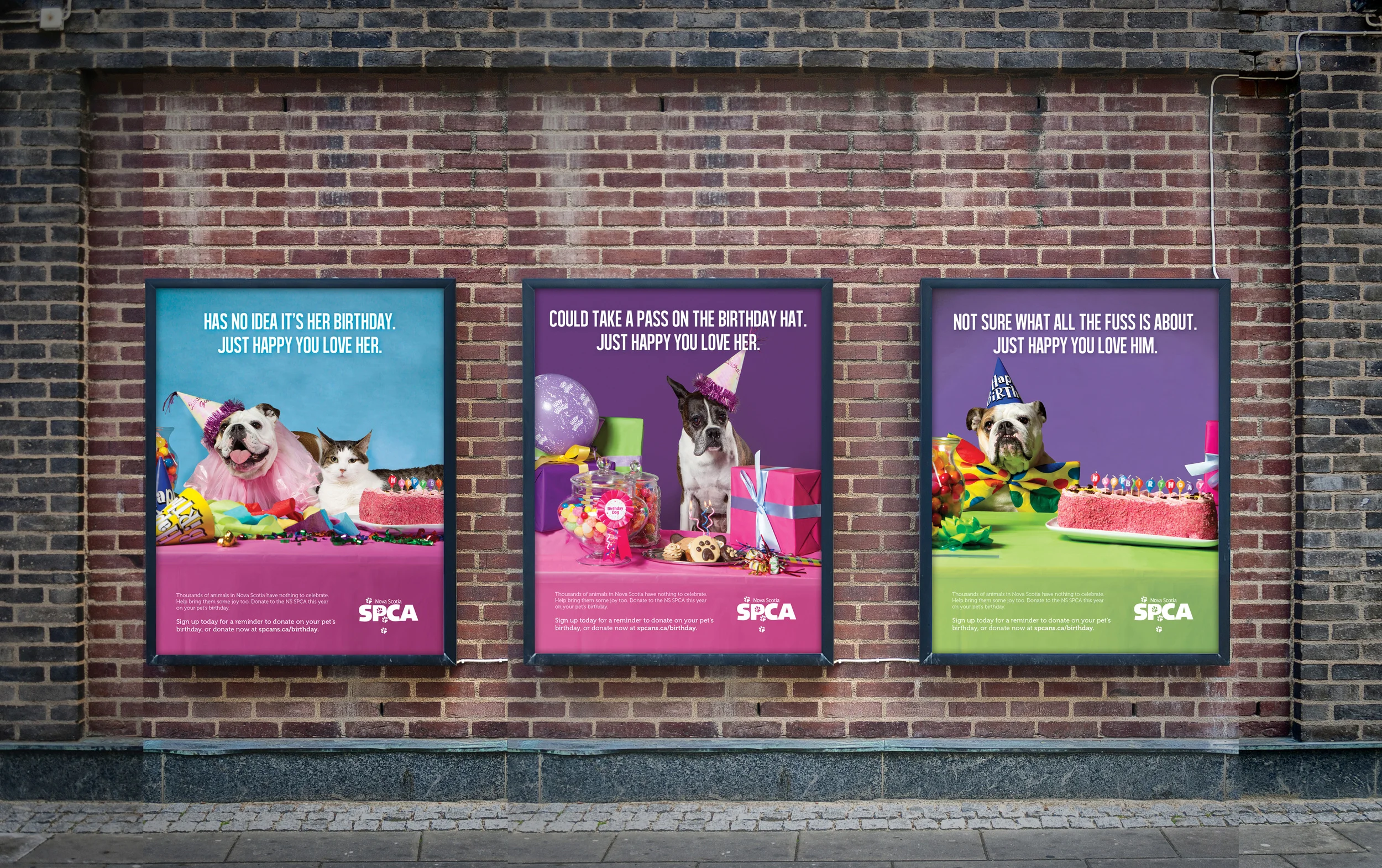 SPCA-street-1.jpg
