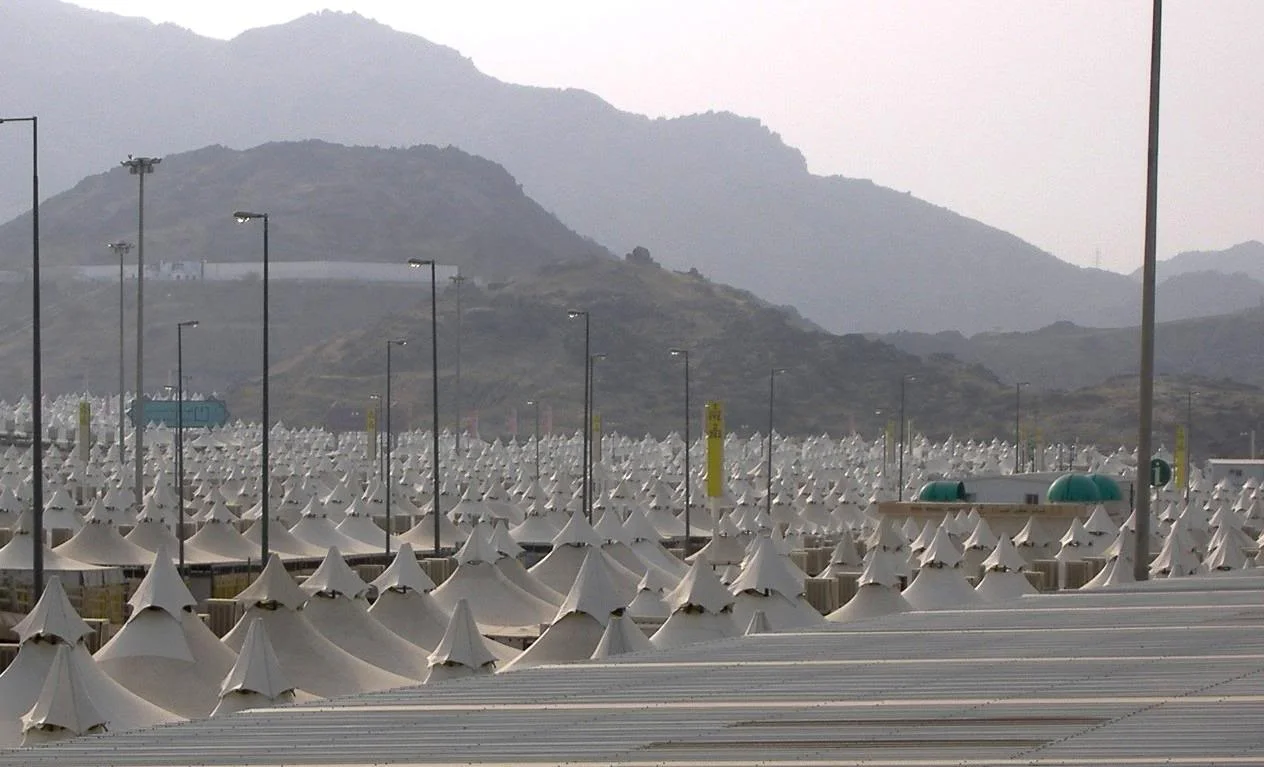 b895.jpg