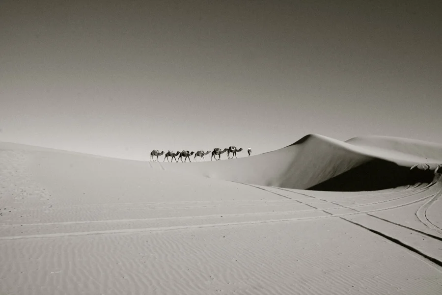 maghreb_26.jpg