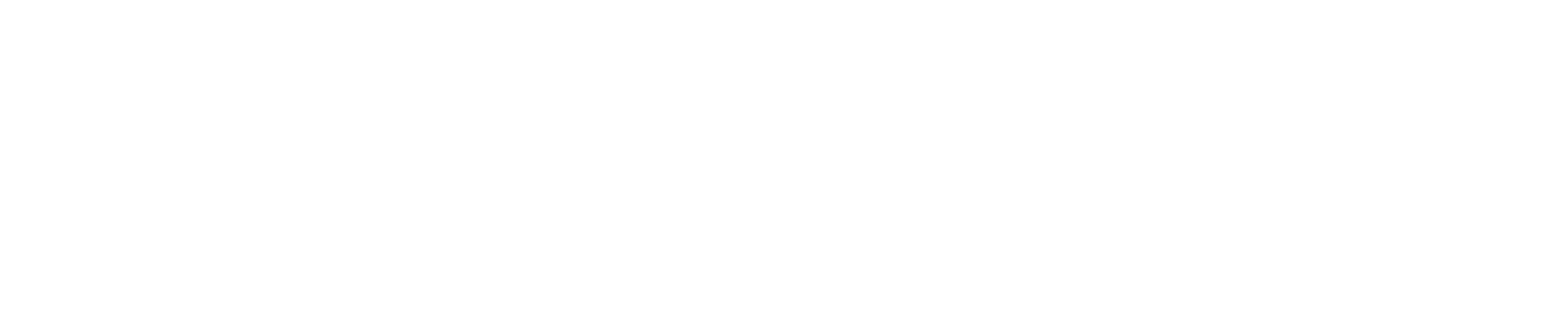 Lisa Ferguson Interior Design 