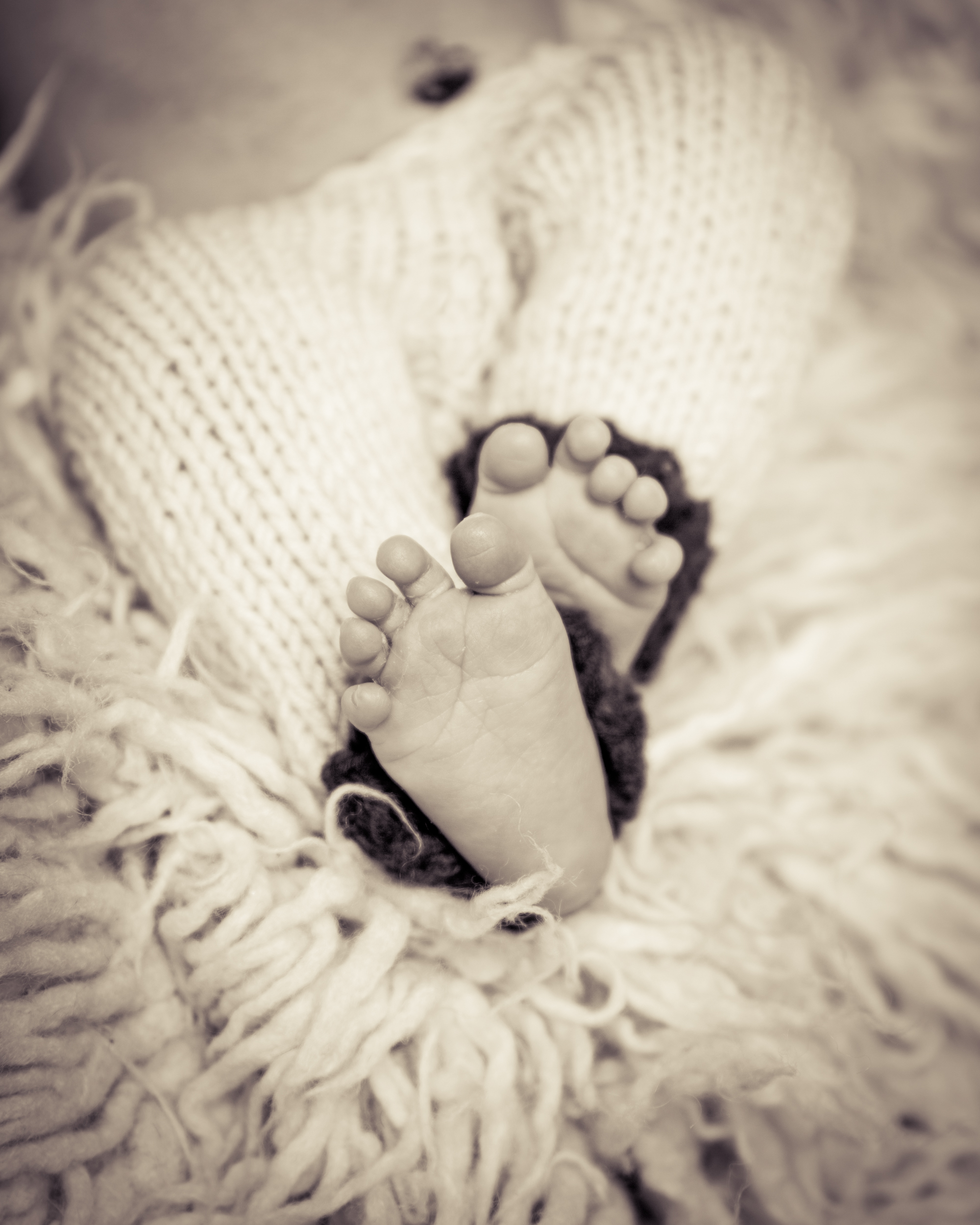 Portage_michigan_newborn_photographer:Monkey_feet