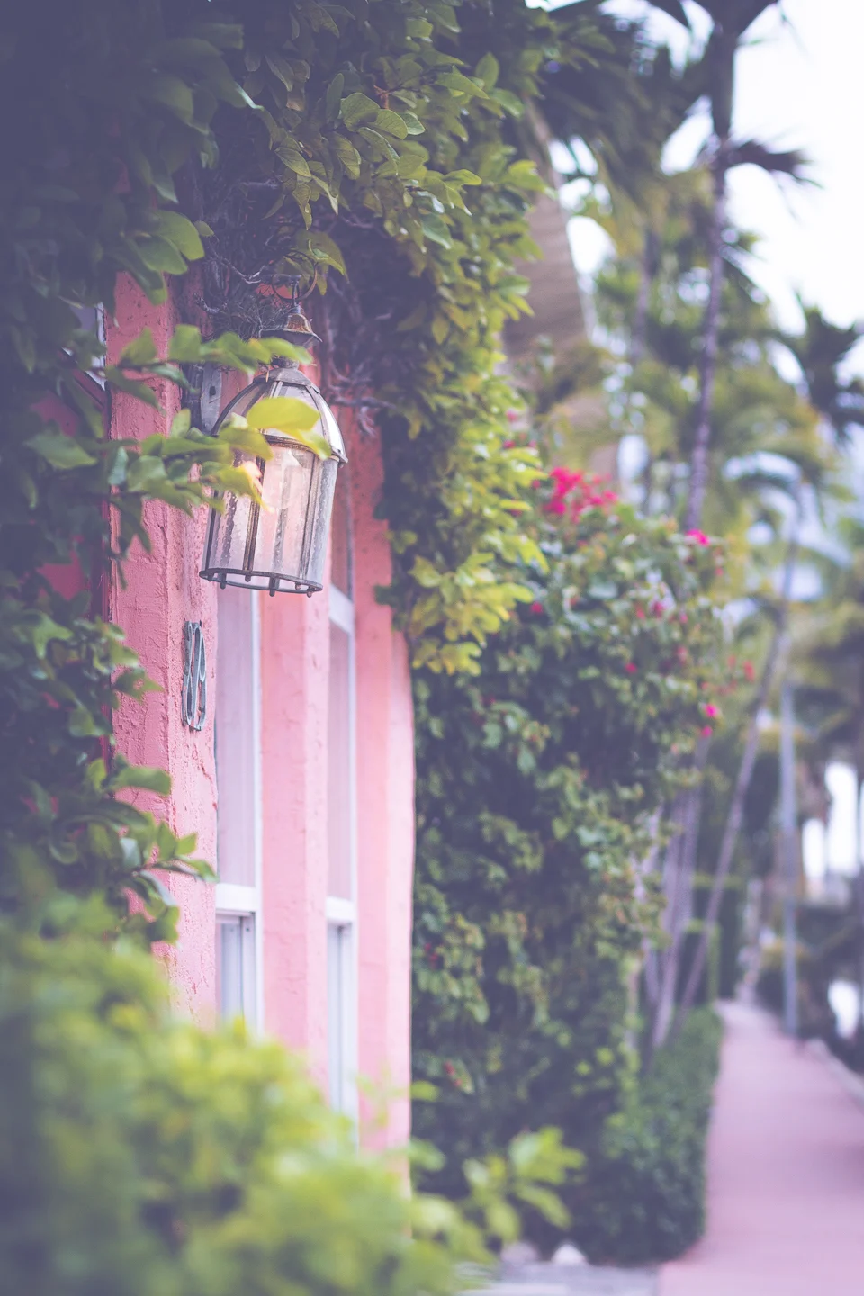 Walking through my neighborhood, in Miami Beach, FL.
