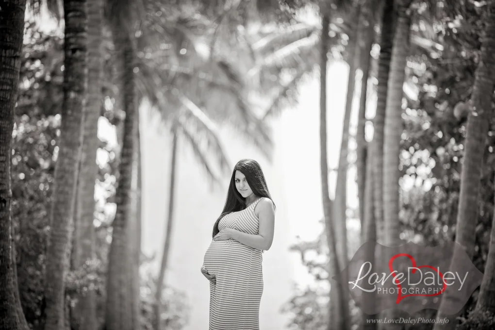 Billbaggsstateparkmaternityphotoshoot2.jpg