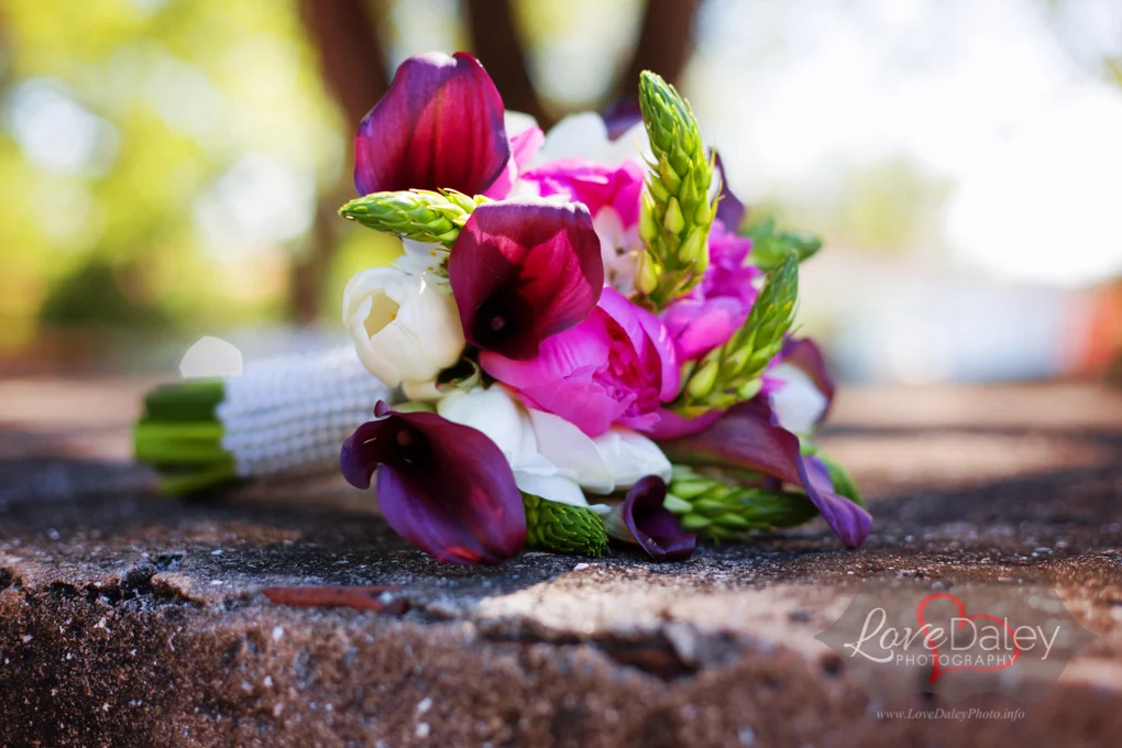 CoralgablesPradoentrancewedding16.jpg