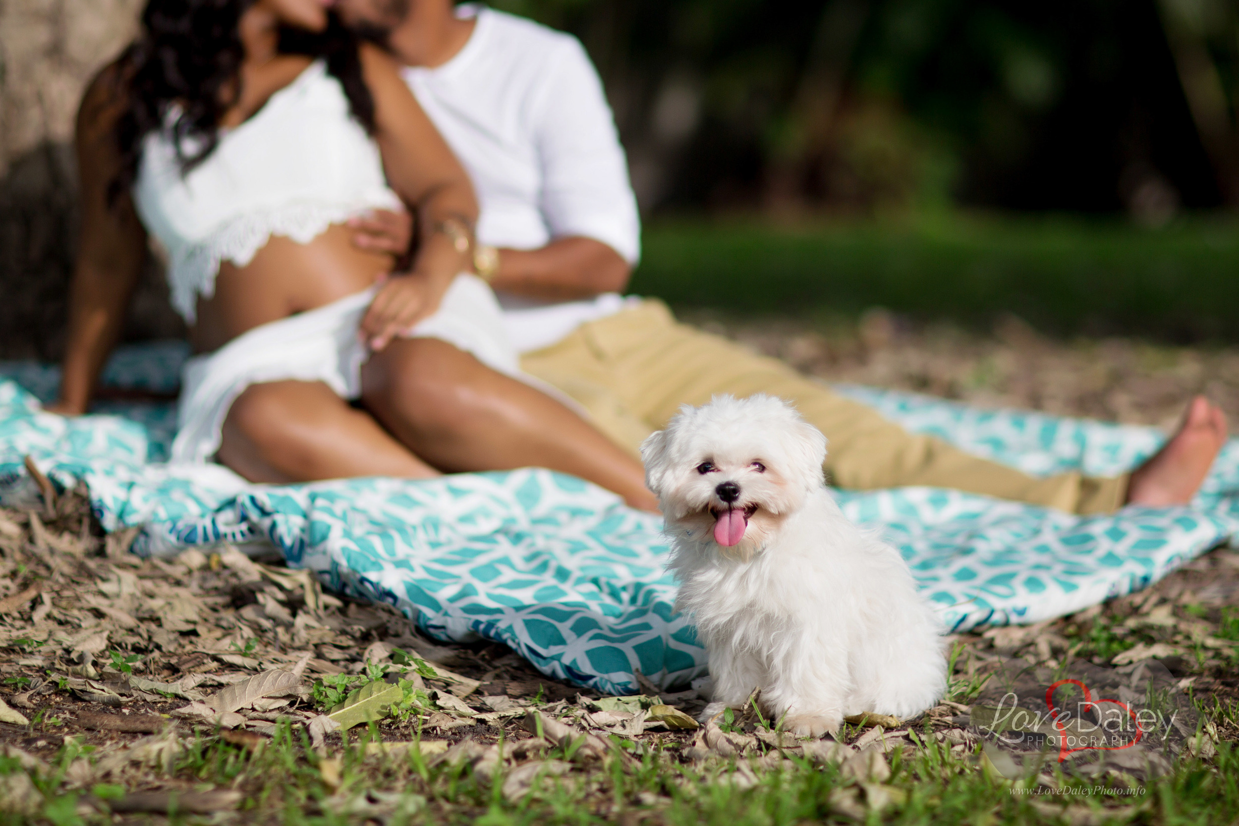 fortlauderdalematernityshoot4.jpg