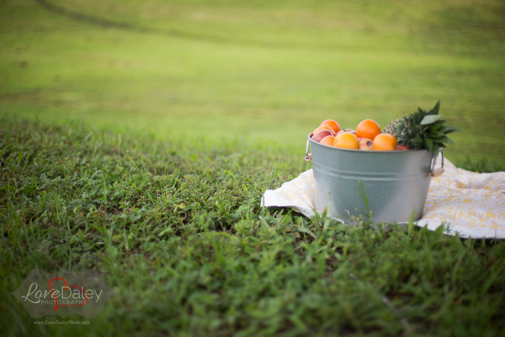 Vistaviewparkengagementphotoshoot22.jpg