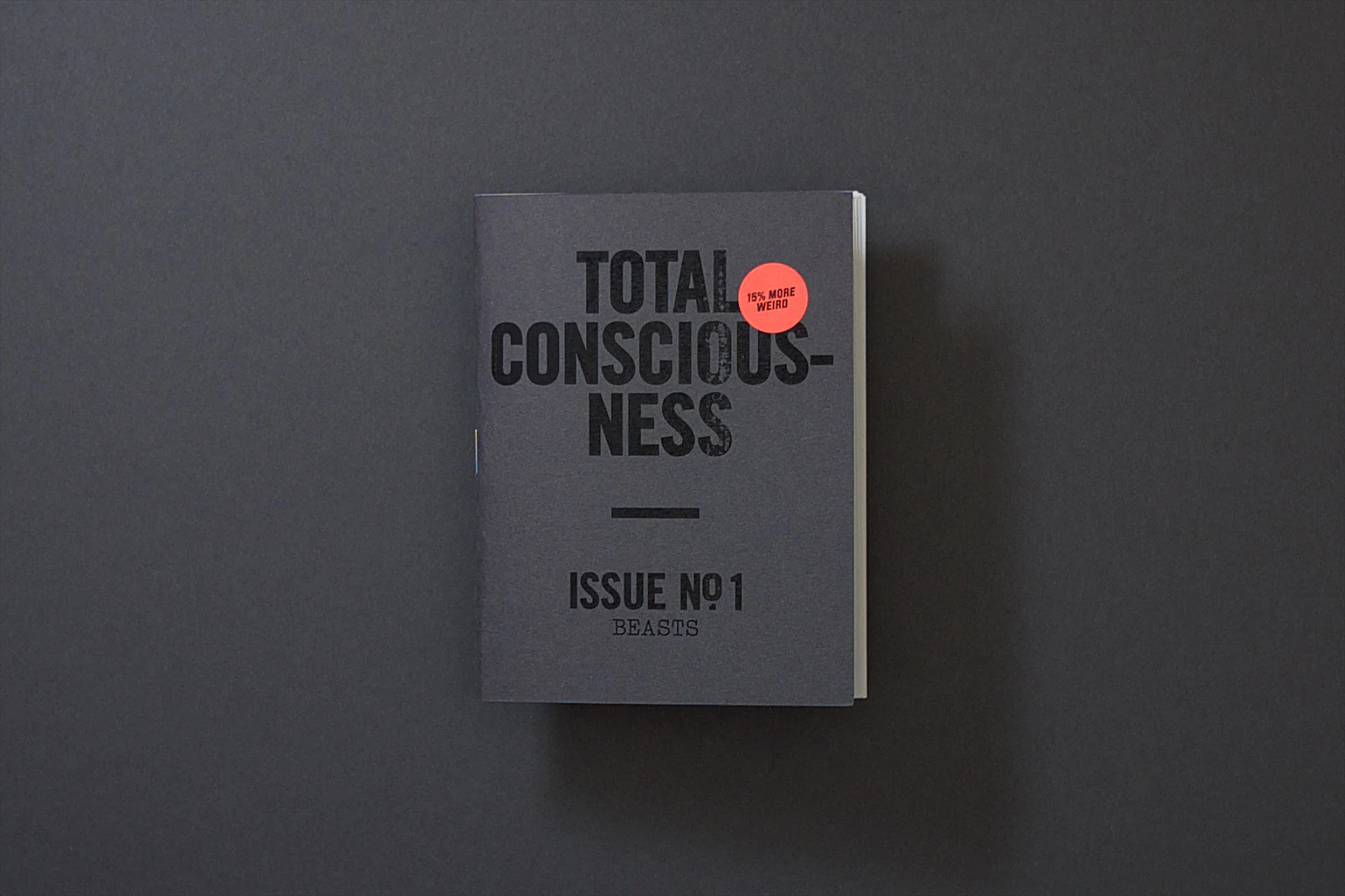 TBD_Zine_01.jpg