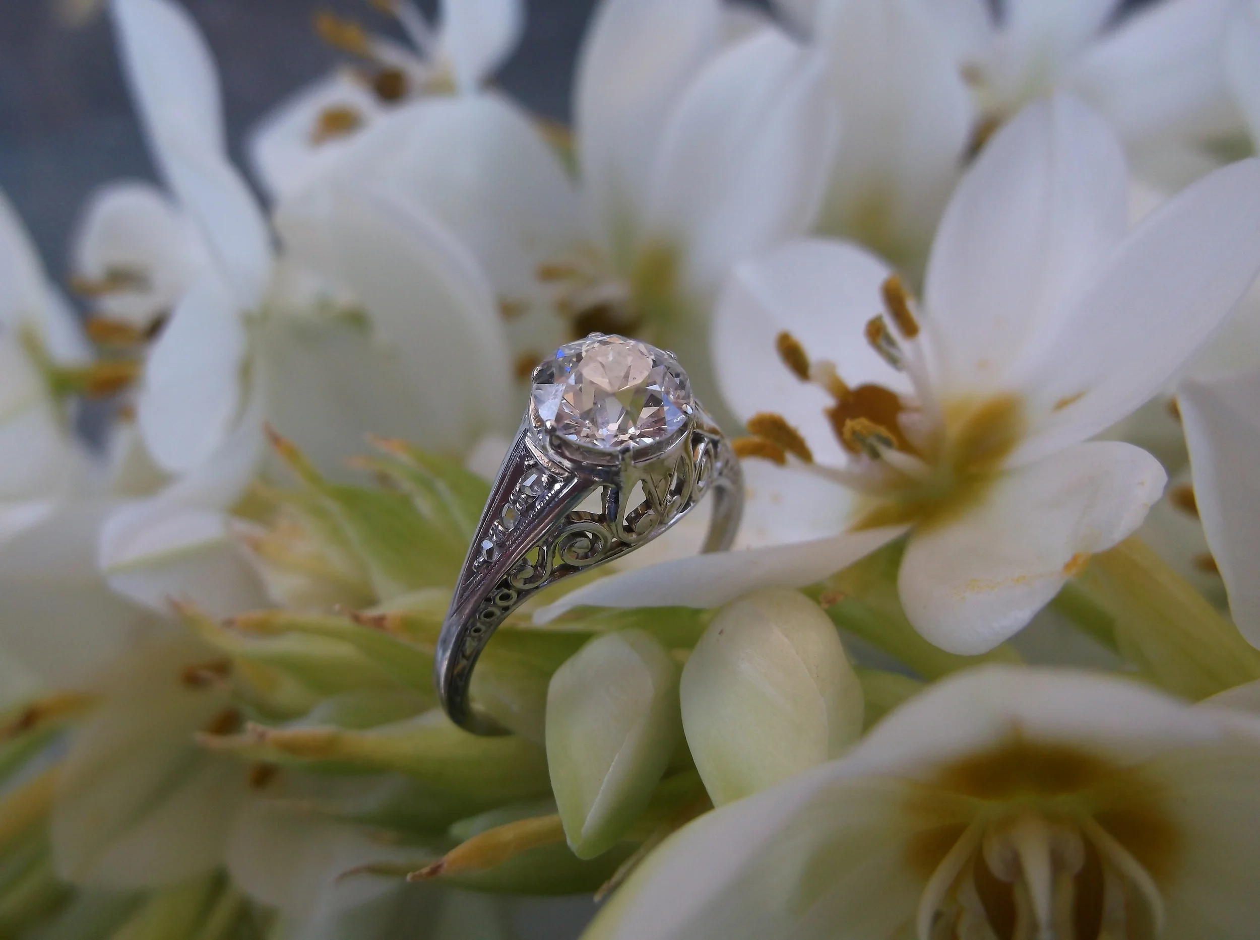 SOLD - Captivating 1920's 1.10 carat Old European cut diamond ring in a beautiful filigree and diamond detail mounting. 