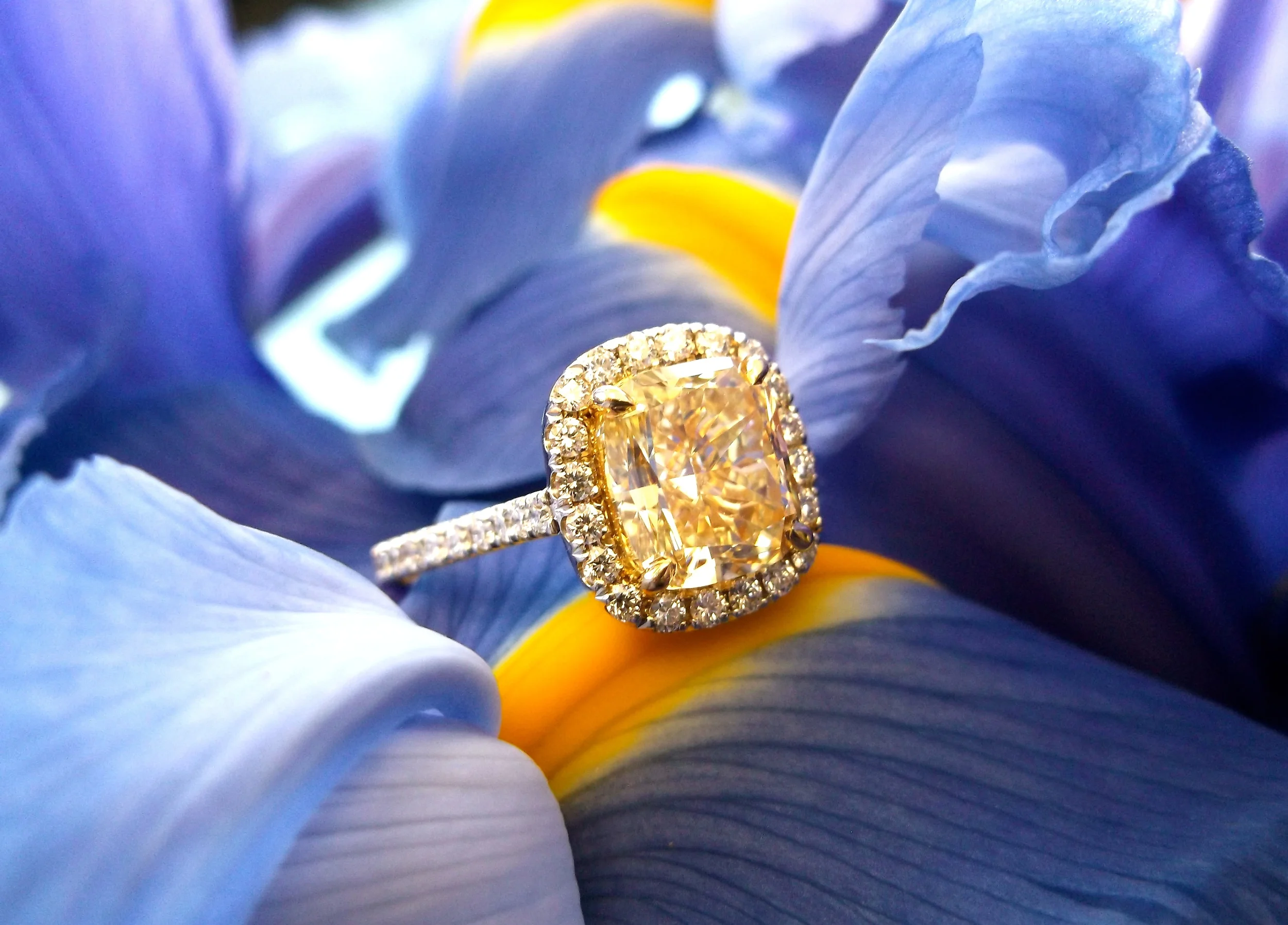 SOLD - Vibrant 2.70 carat fancy yellow diamond set in a dainty diamond halo in 18K white gold. 
