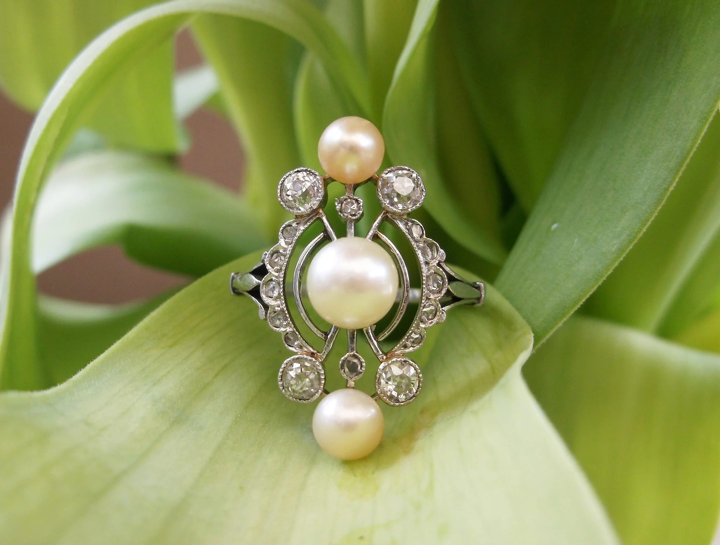 SOLD - Dreamy 1920's Old Mine cut and rose cut diamond and pearl ring set in platinum.