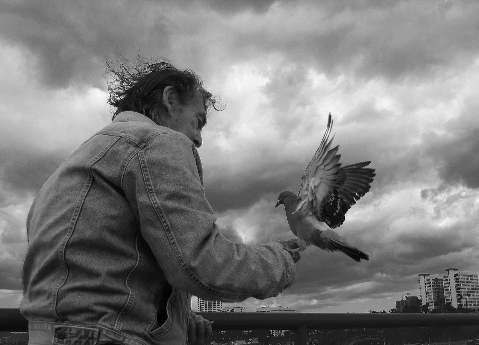 Birdman 1