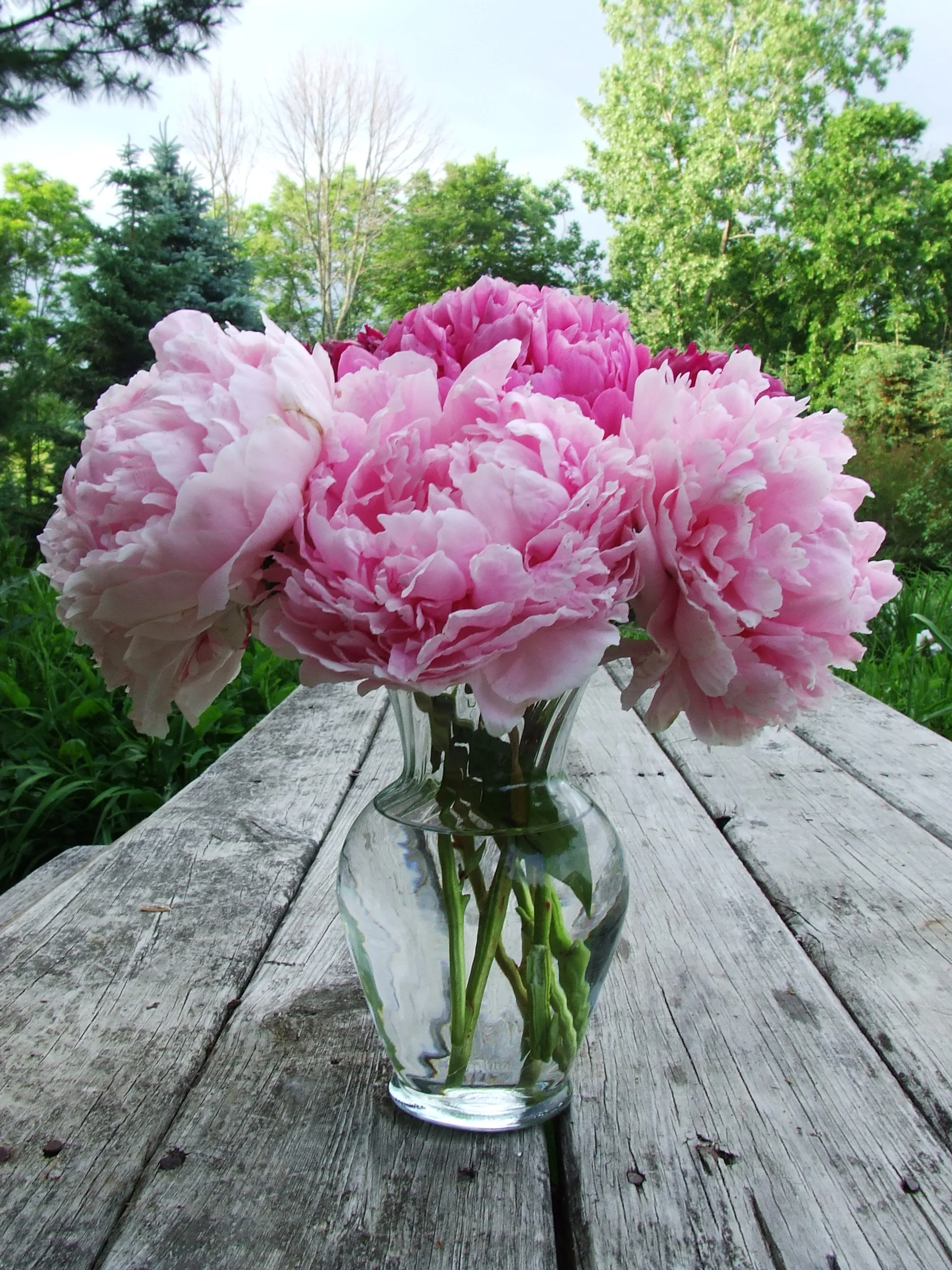 Simple Centerpieces
