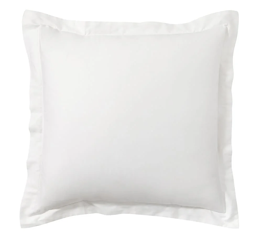 Pottery Barn Euro Sham
