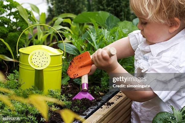 Get Started: Kitchen Garden