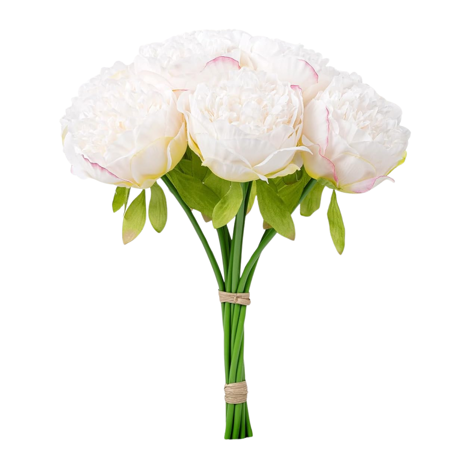 Faux Peony Stems