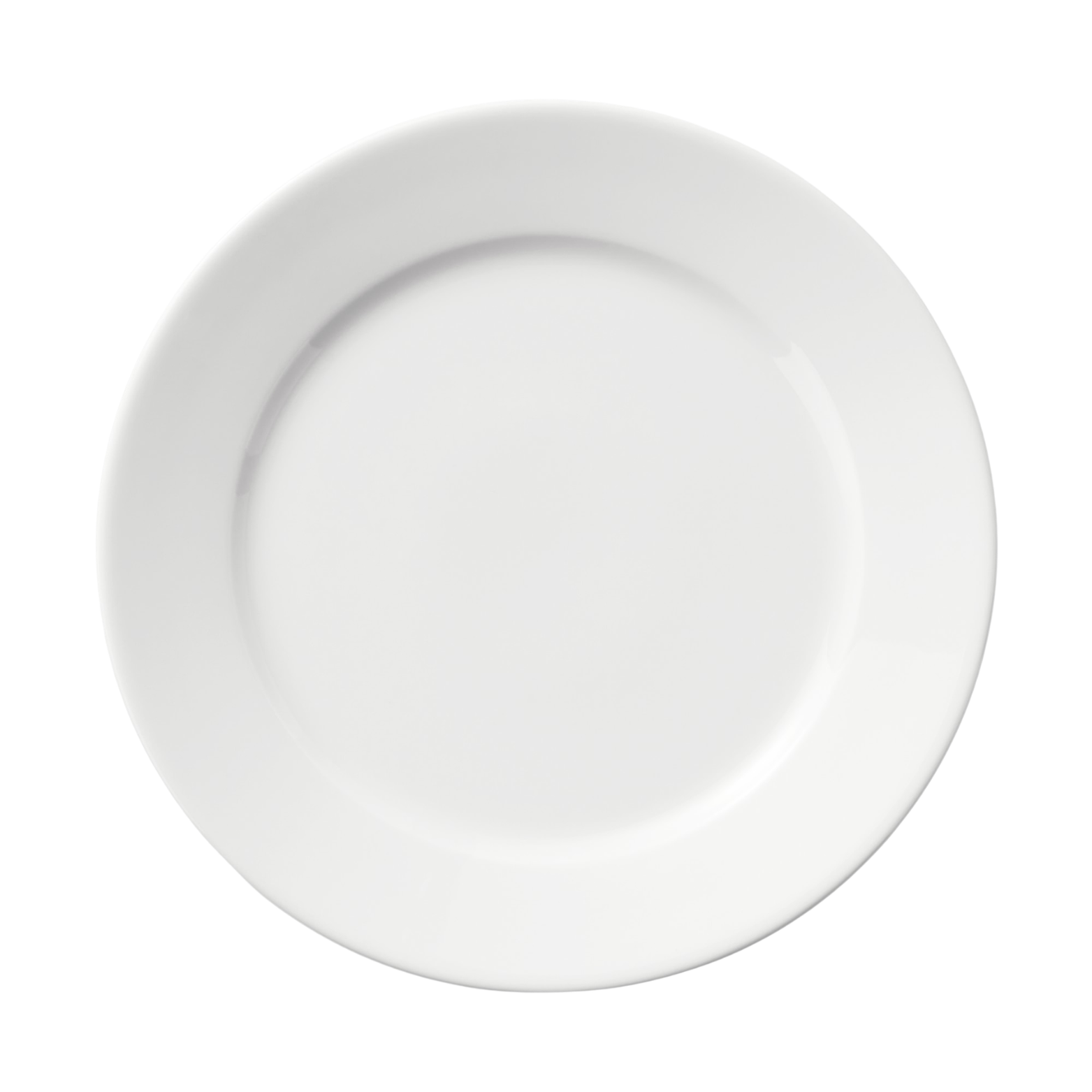 Porcelain Dinner Plates