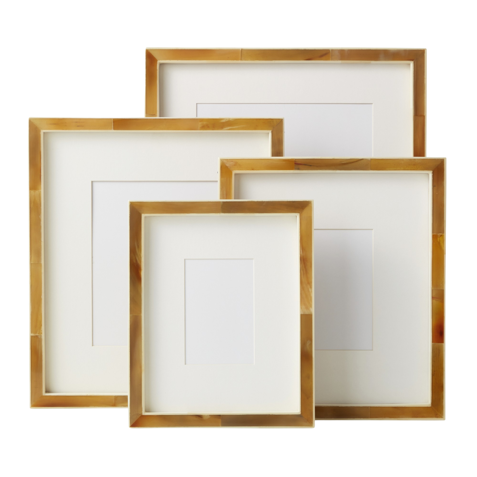 Horn &amp; Bone Frame