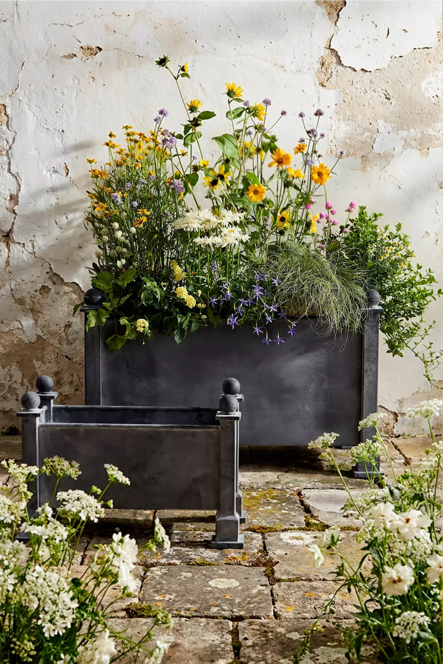 Versailles Trough Planter