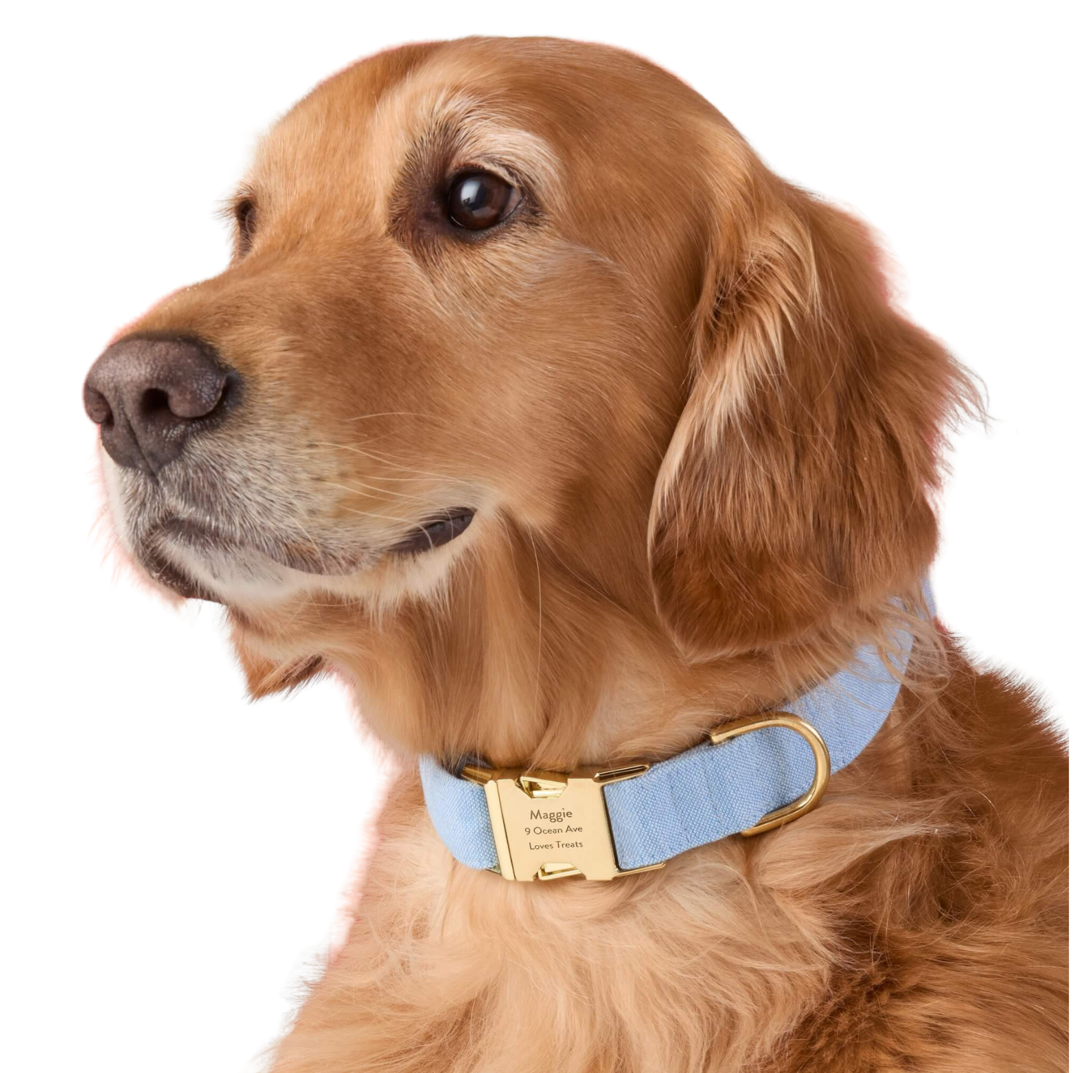 Cotton Collar