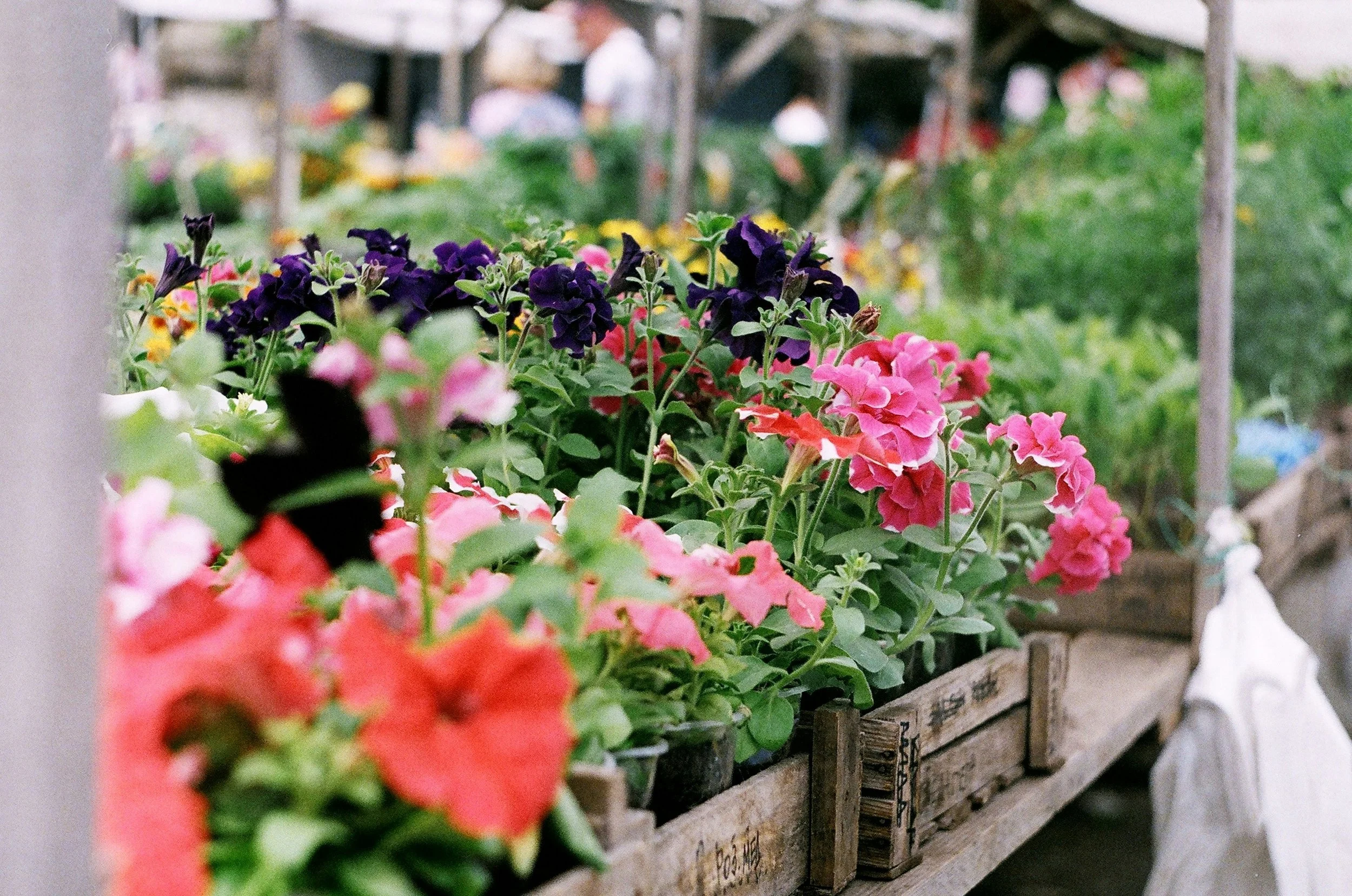Navigate the Nursery