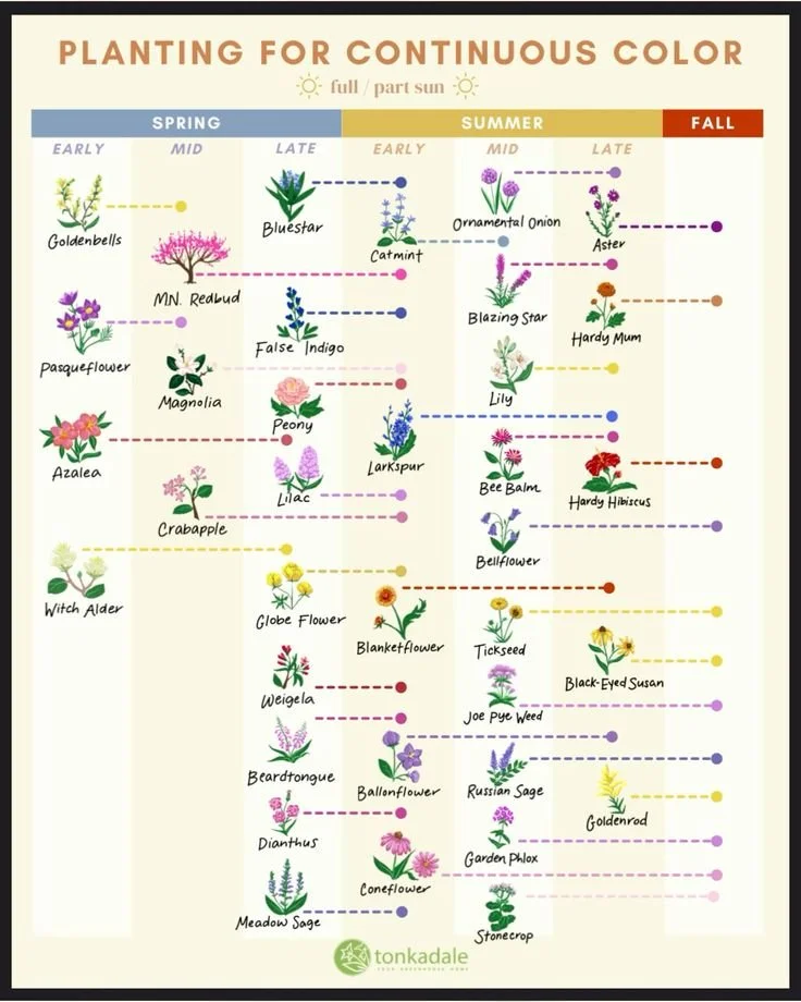 continuous color.jpg